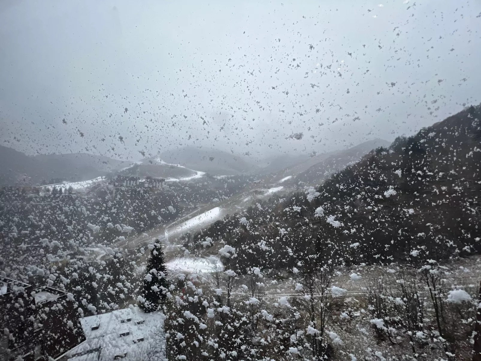 House Betulle by Holiday World-Draußen