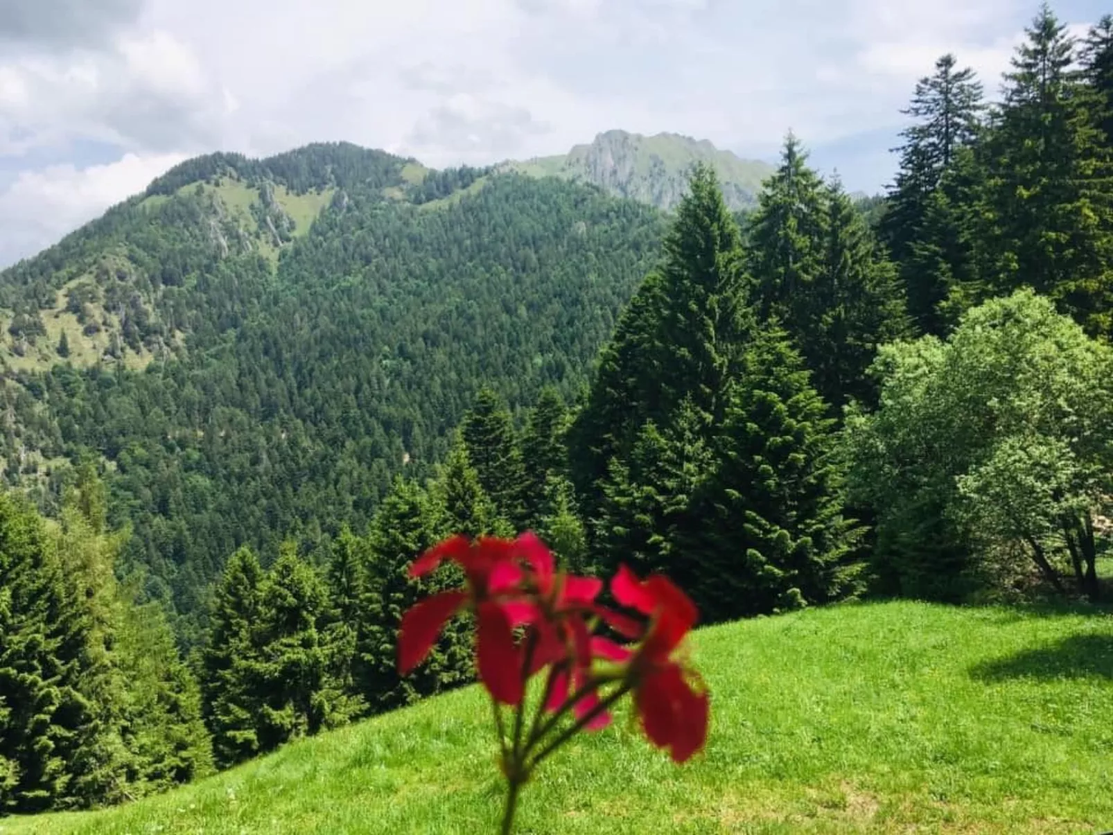 Mit Sauna in Pieve Di Bono-Outside