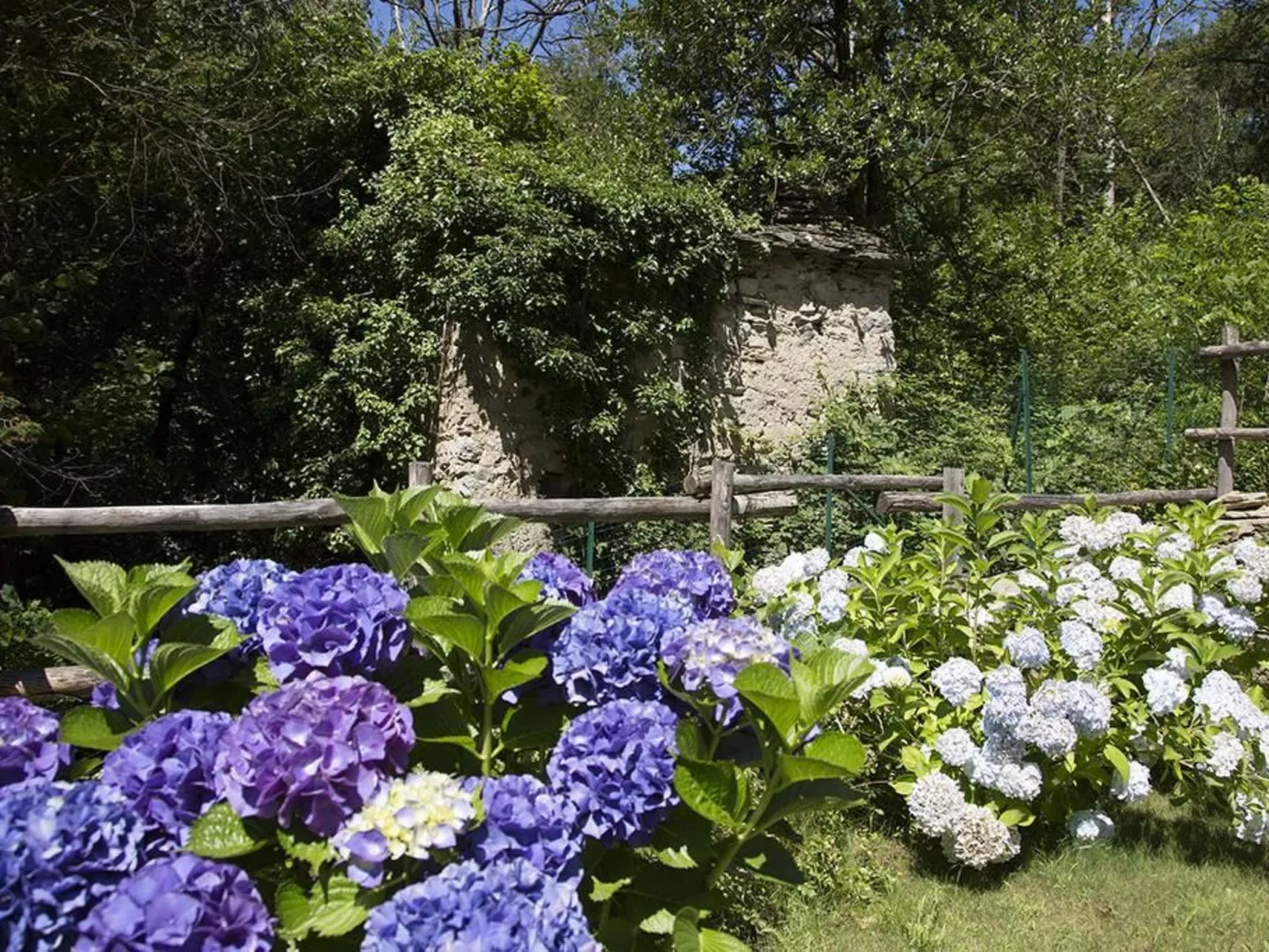 Lampone in San Bernardino Verbano-Draußen