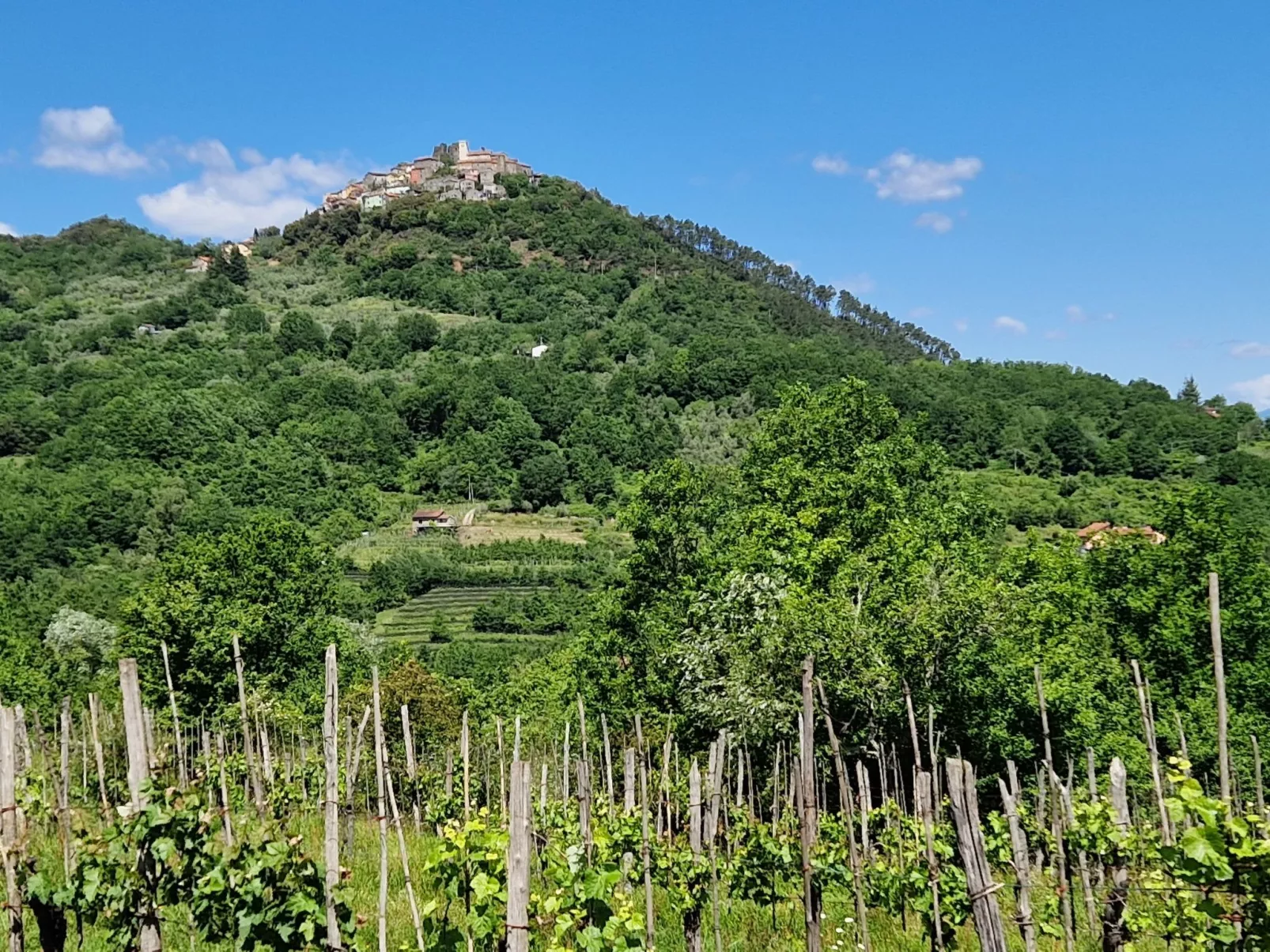Mini-Appartement Casa Colombana mit Panoramablick - Draußen