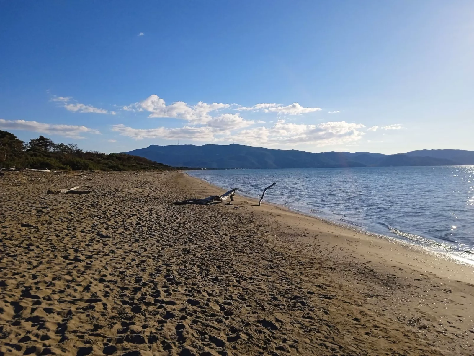 Der Birnbaum-Outside