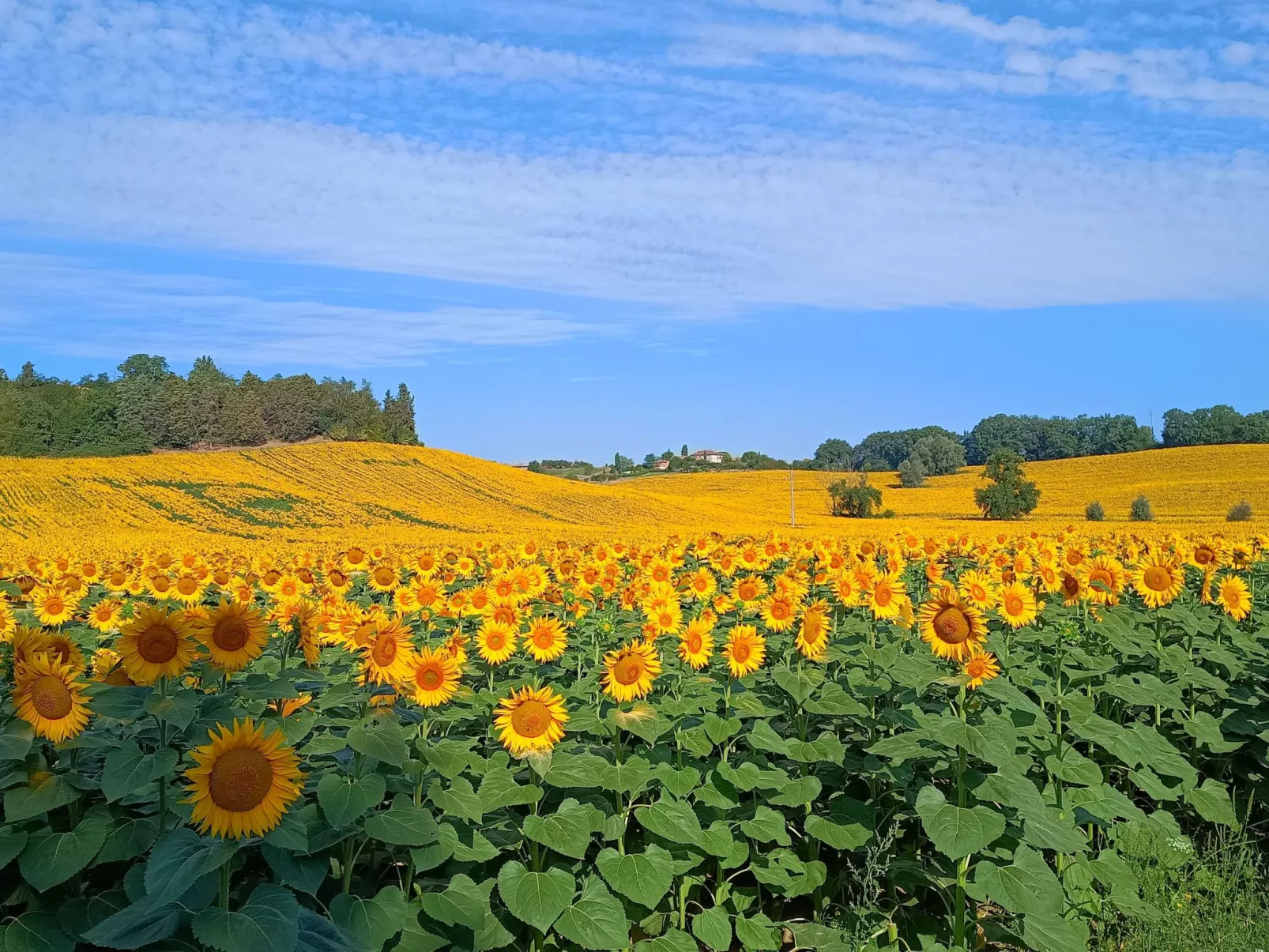 Wohnung mit Garten und oberirdischem Pool-Draußen