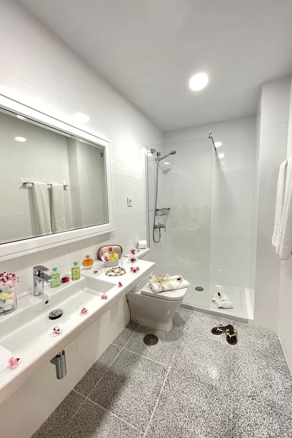 1-Schlafzimmer-Superior-Apartment-Inside