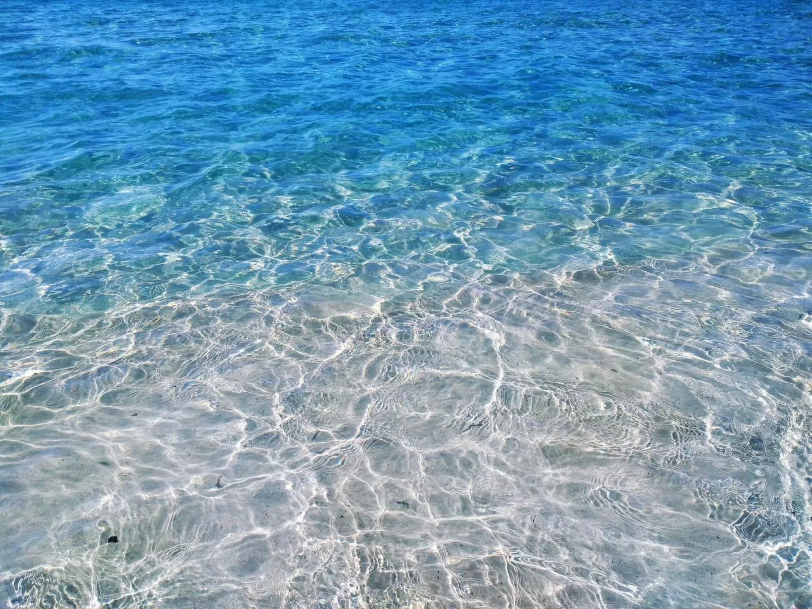 Wohnungen Palm Garden-Outside