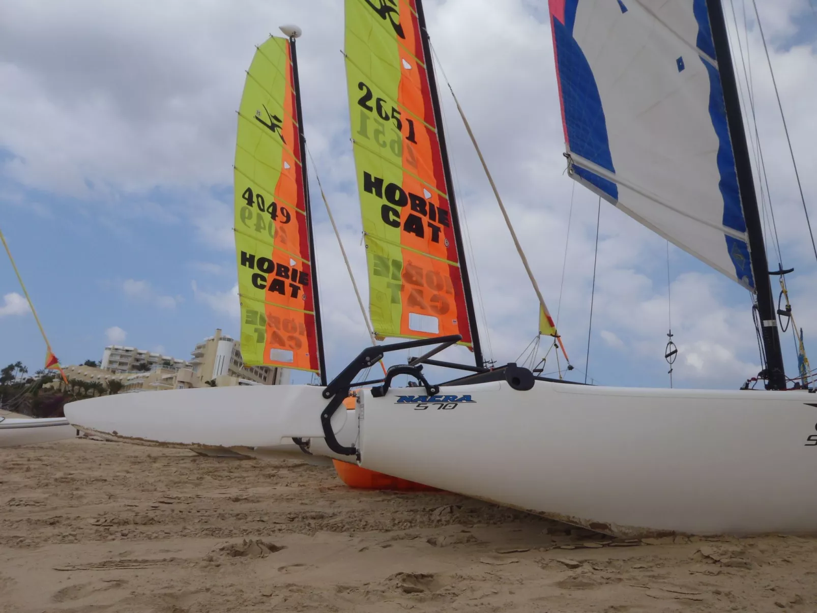 Tajinaste Terras-Draußen