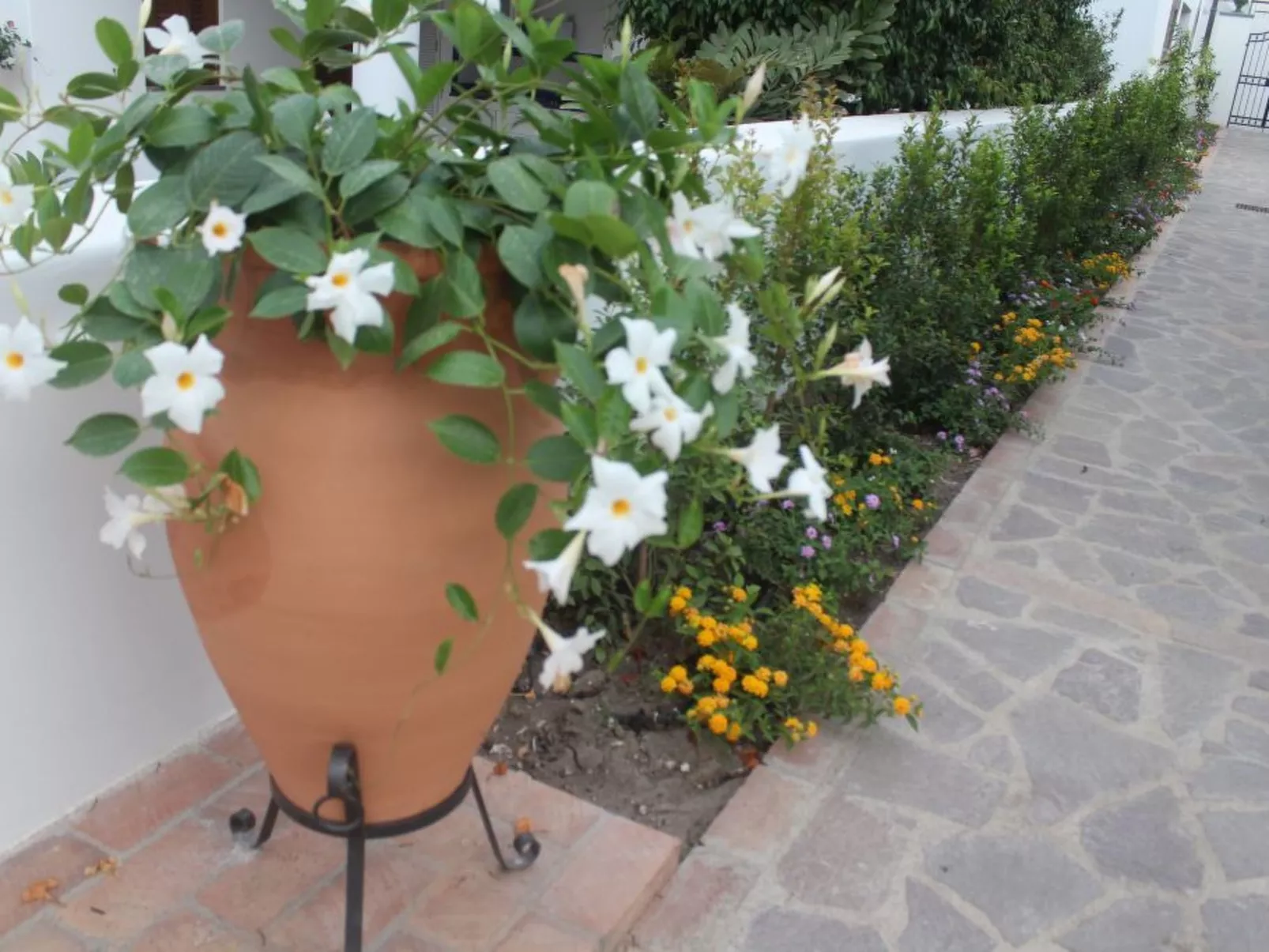 Wohnung 'Blue 236' in Strandnähe-Dehors