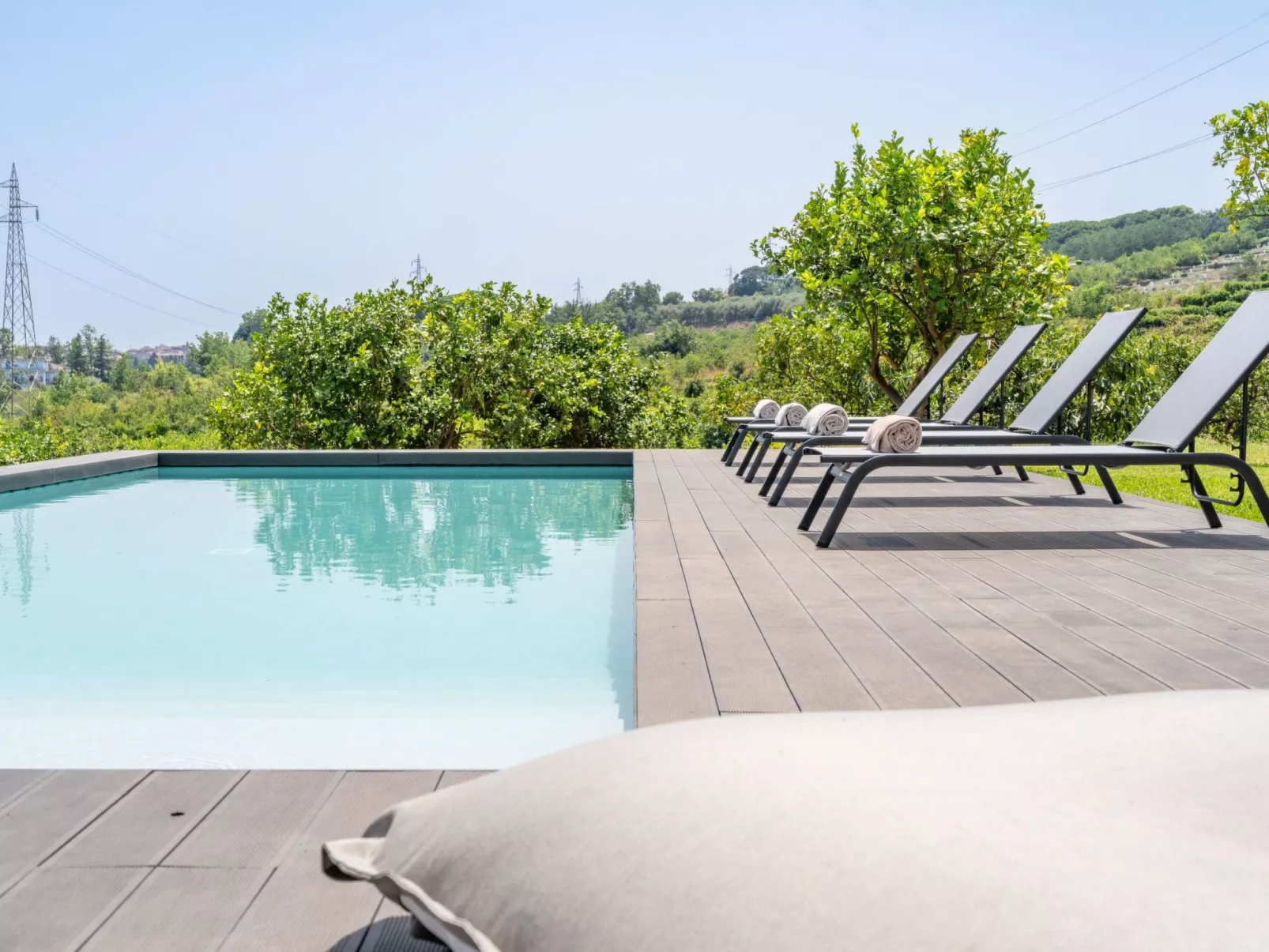 Avocado Garten-Image-tags.info