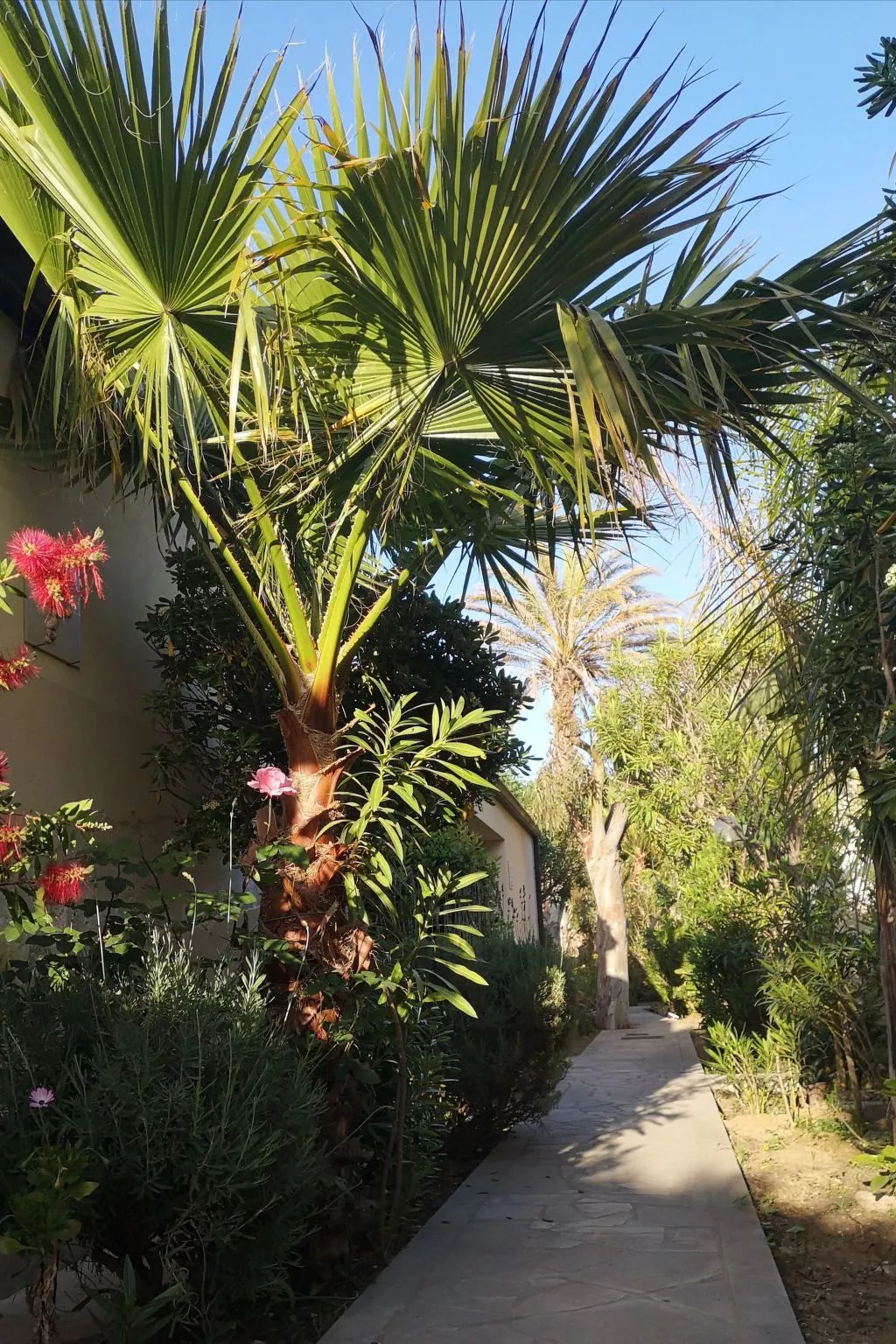 Schöner zentraler Bungalow direkt am Sandstrand auf Sizilien-Dehors