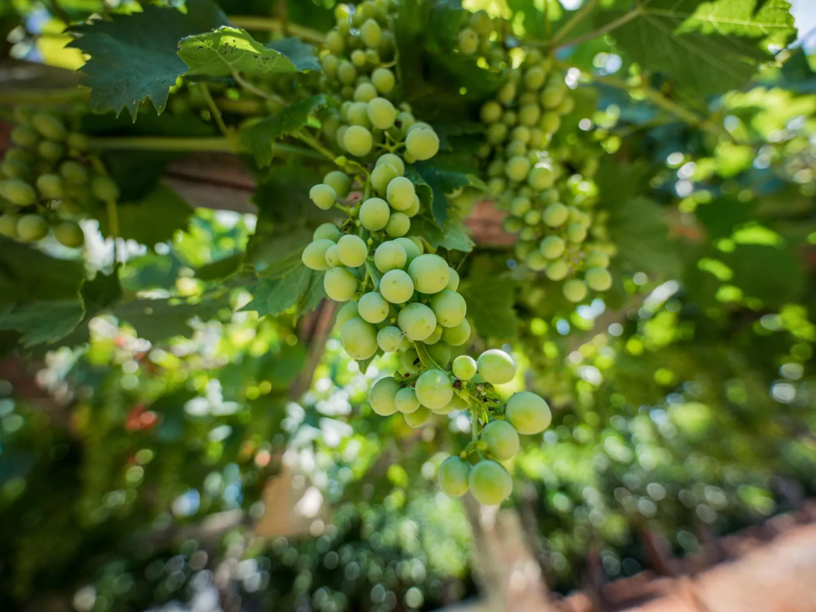 Casal del Borgo 7-Draußen