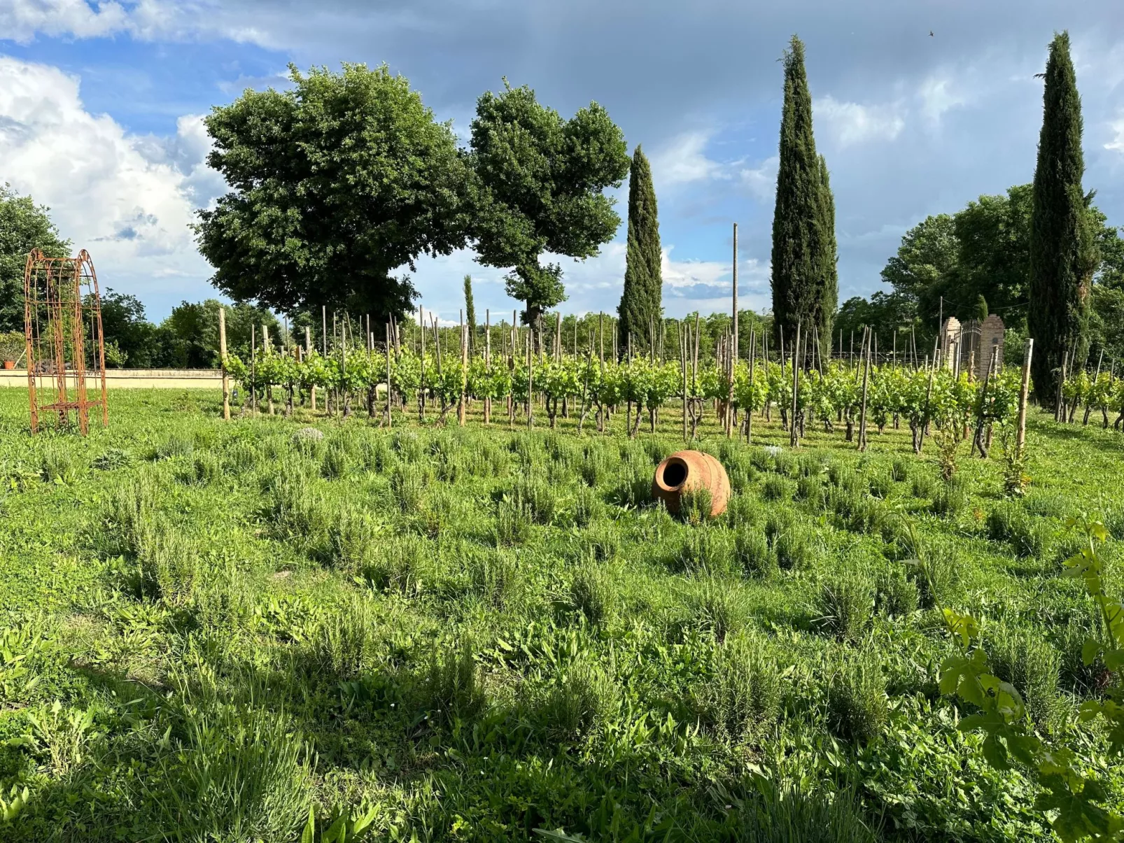 Apartment Vigneto-Outside