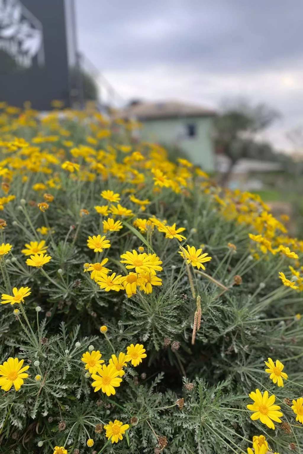 Ein-Zimmer-Wohnung 'Villa Camilla-Outside