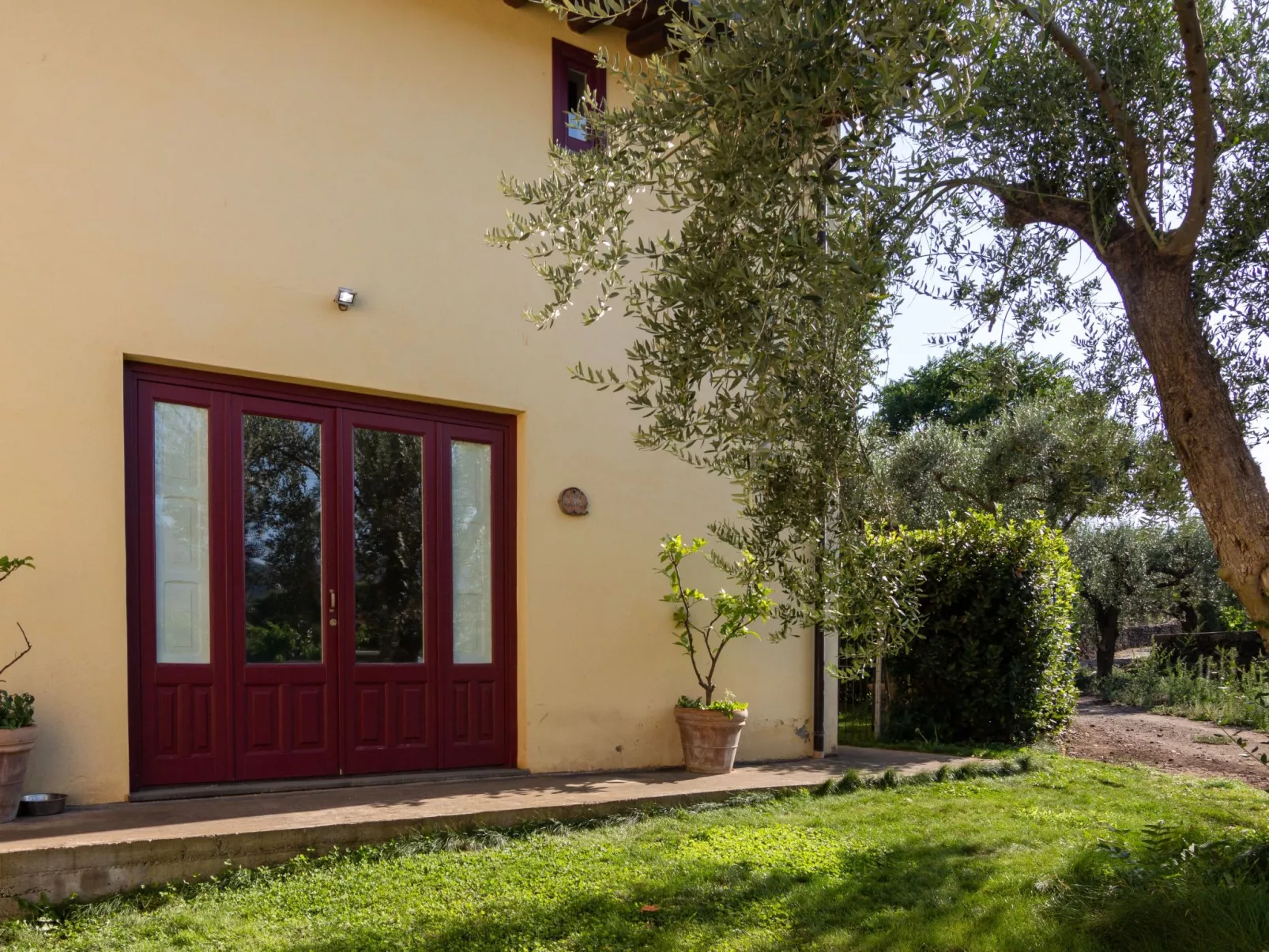 Villa Nocellara", umgeben von Weinbergen-Draußen