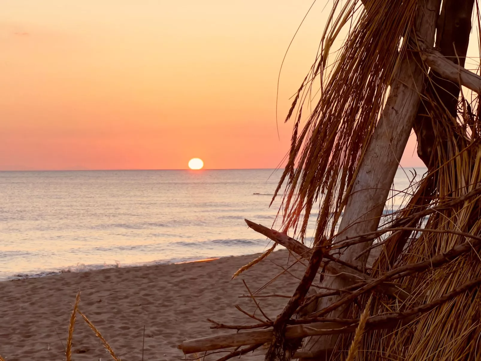 Wohnung Alborense-Draußen