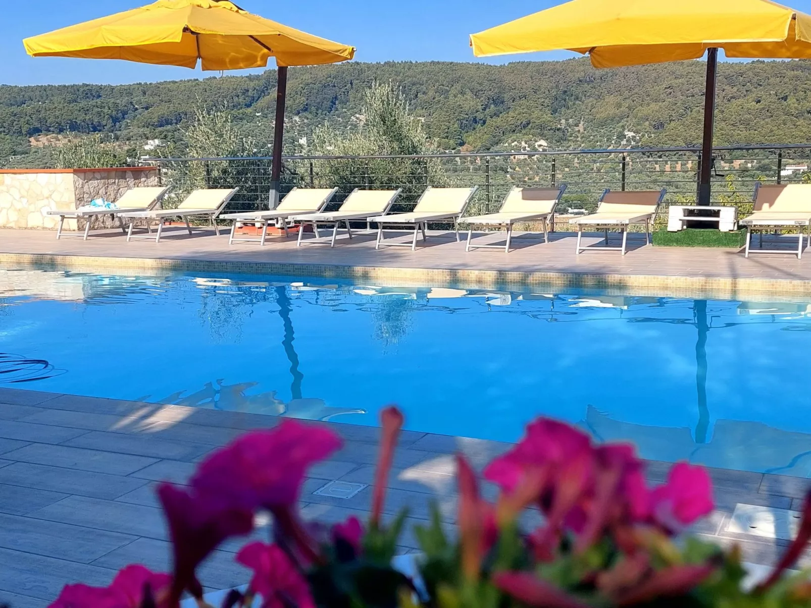 Drei-Zimmer-Wohnung im Erdgeschoss-Image-tags.info