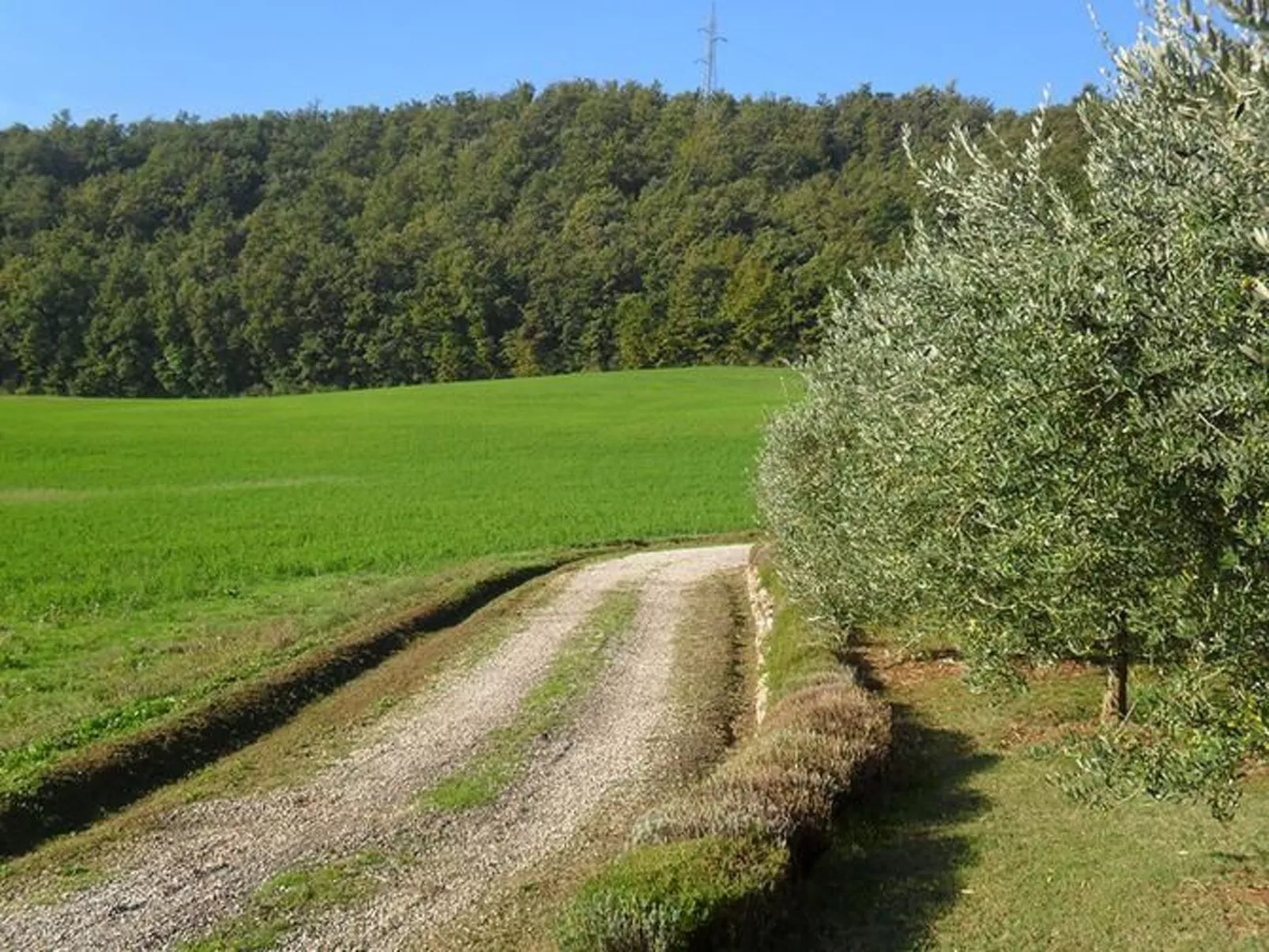 Kleines Appartement-Image-tags.info