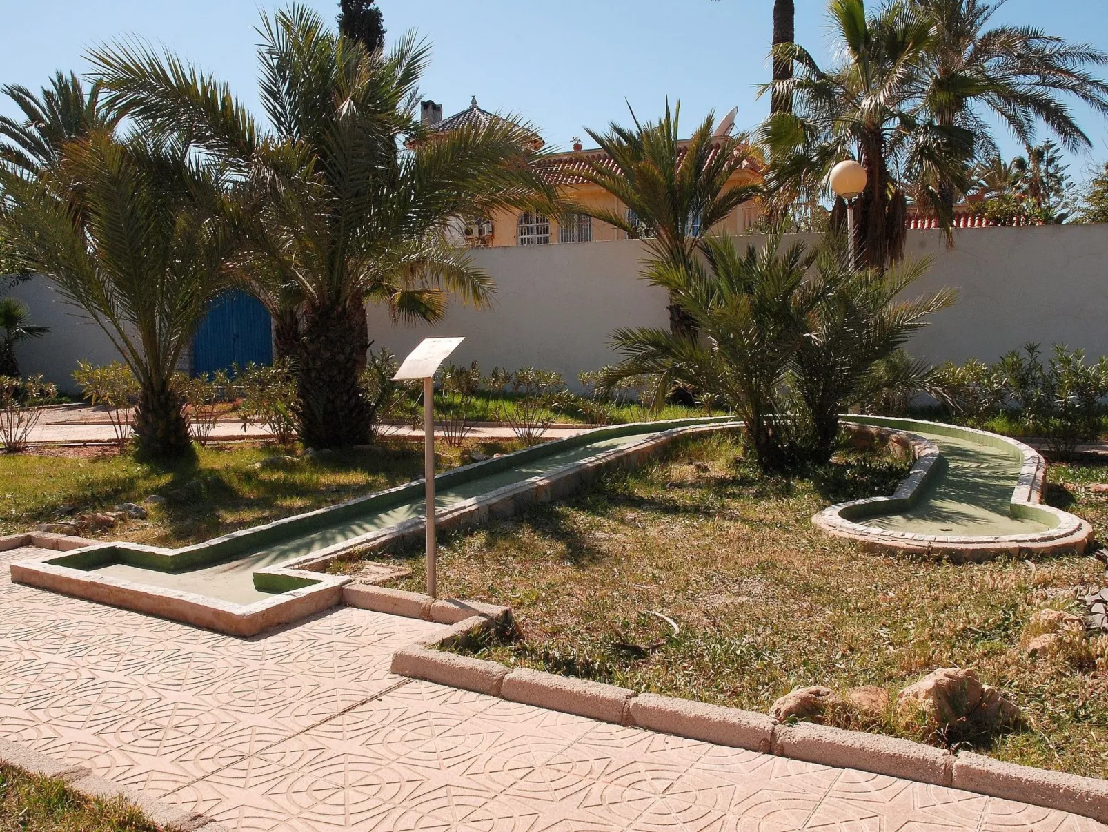 Olivos 8-Image-tags.info