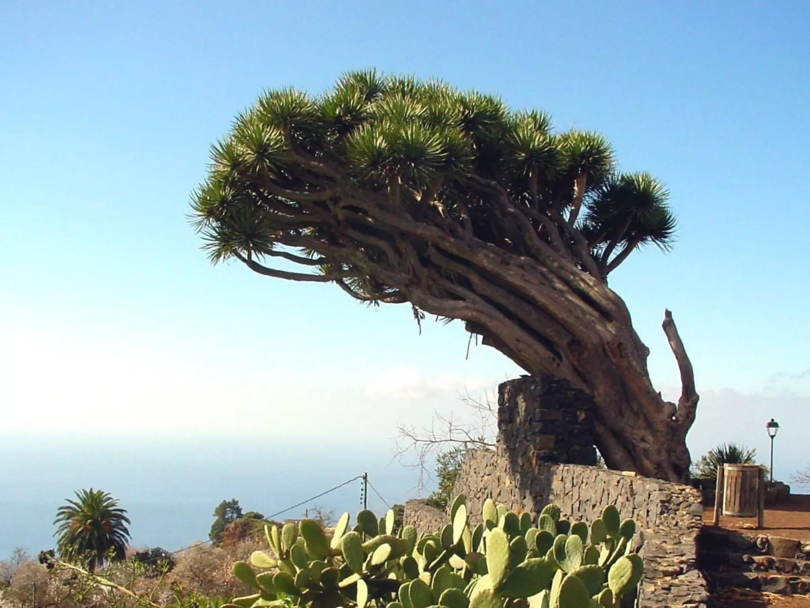 Ruhige Finca Topo del Drago mit Meerblick-Dehors