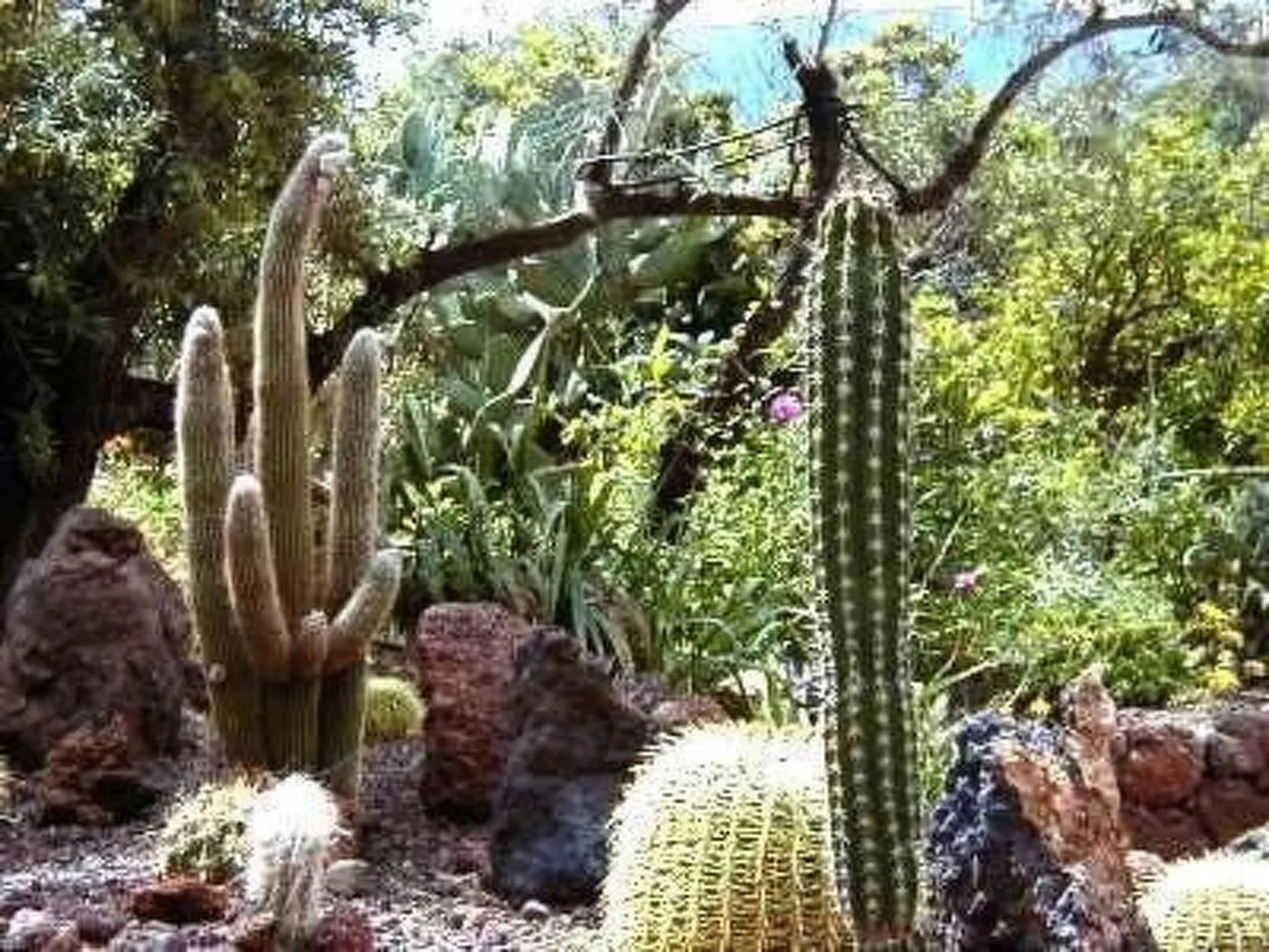 Schönes Steinhaus El Palmeral del Valle-Outside