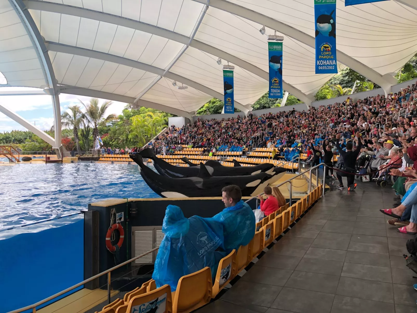 Apartment La Arena-Image-tags.info