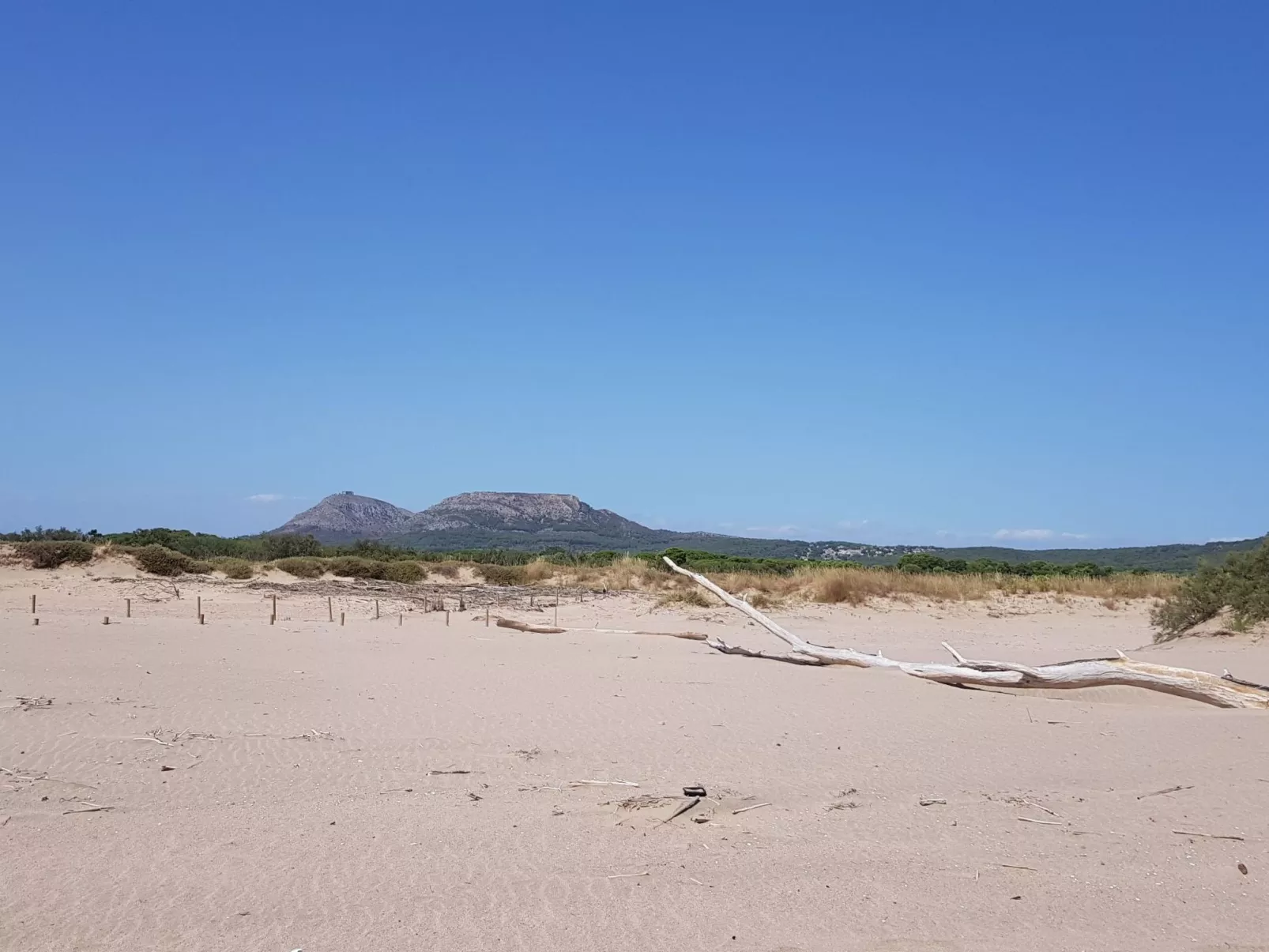 Casa Palmeres-Image-tags.info