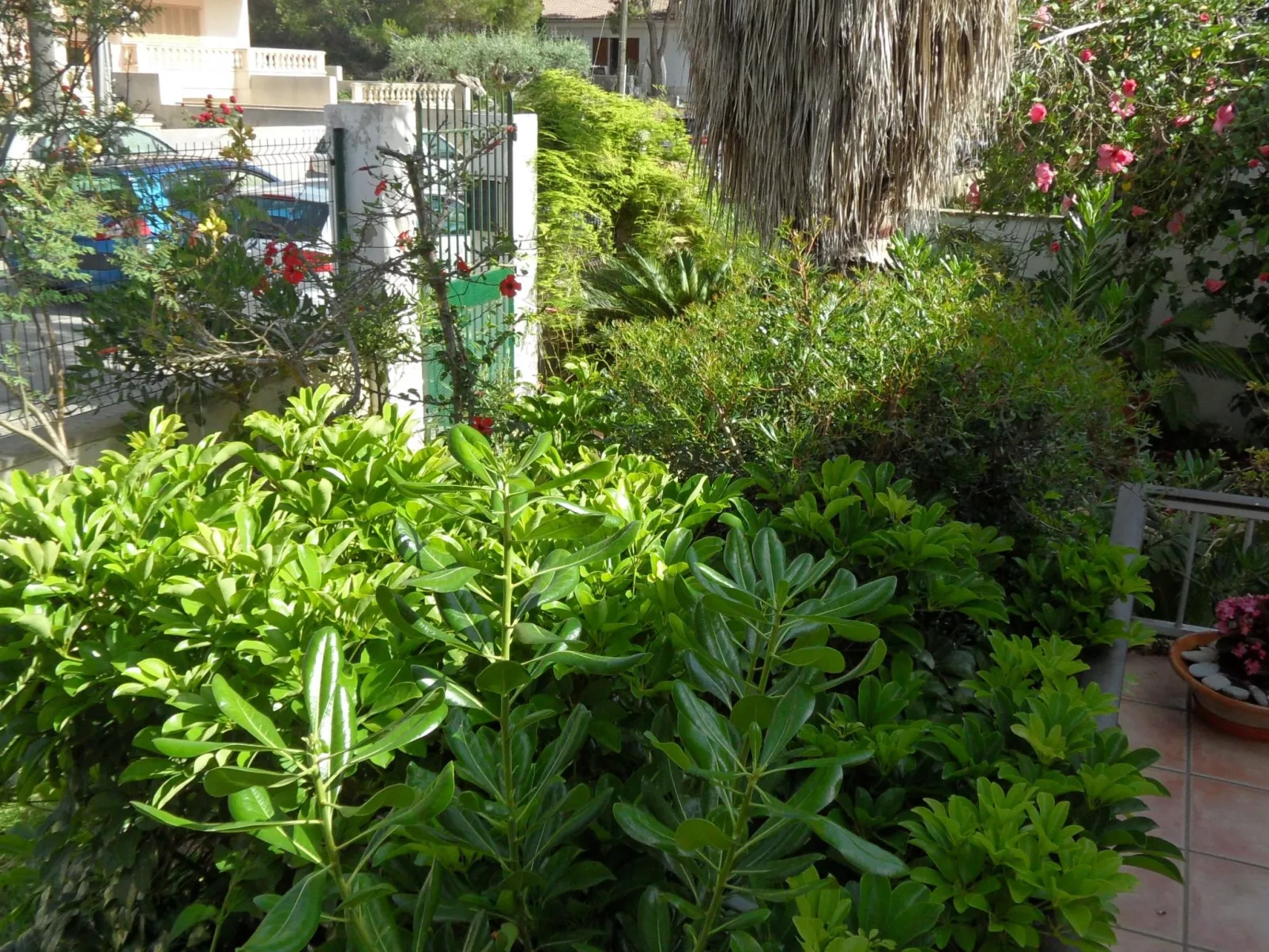 Für 2 Personen und 4 Kinder-Dehors