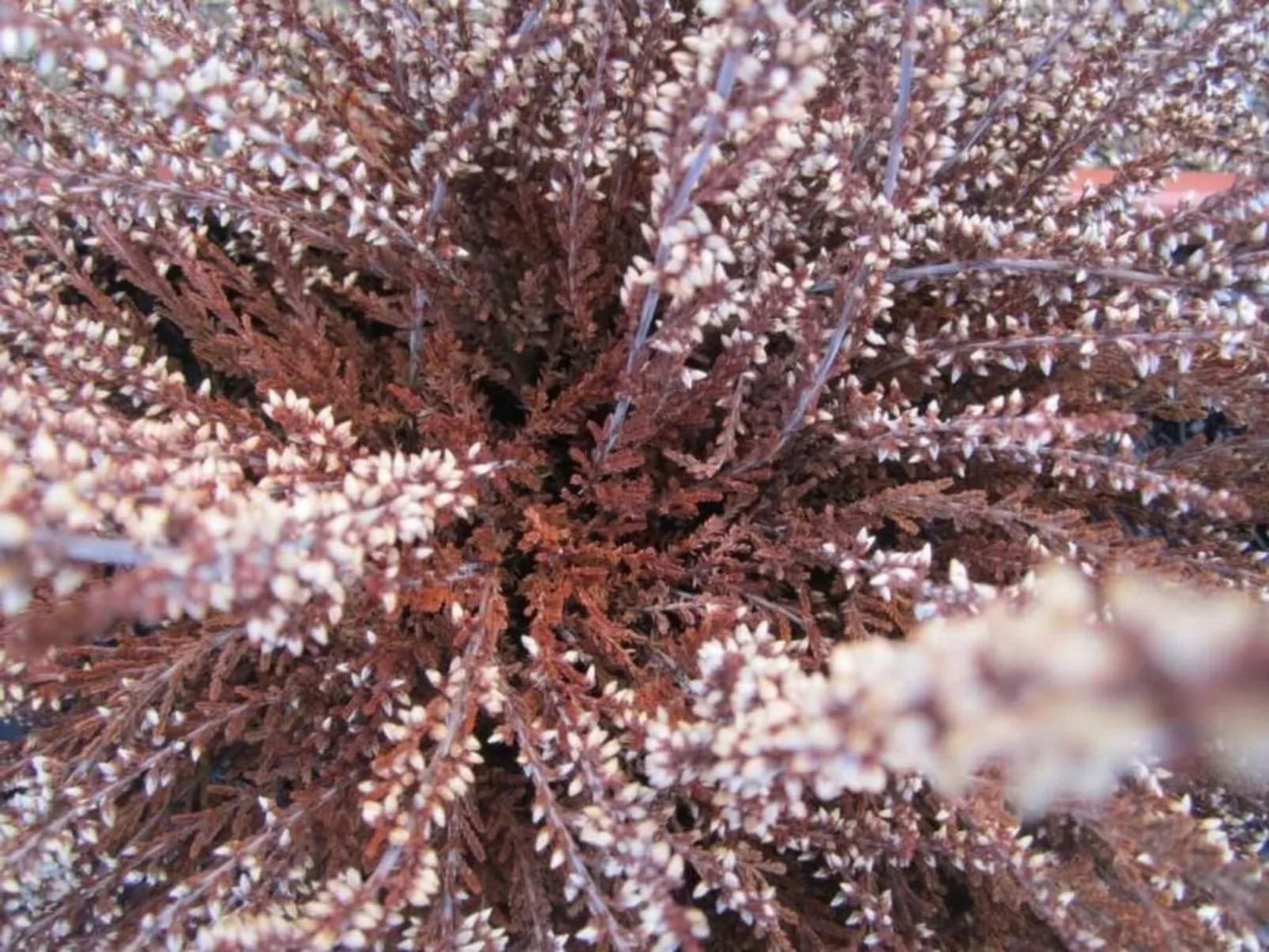 Wohnung mit Wasserblick-Image-tags.info