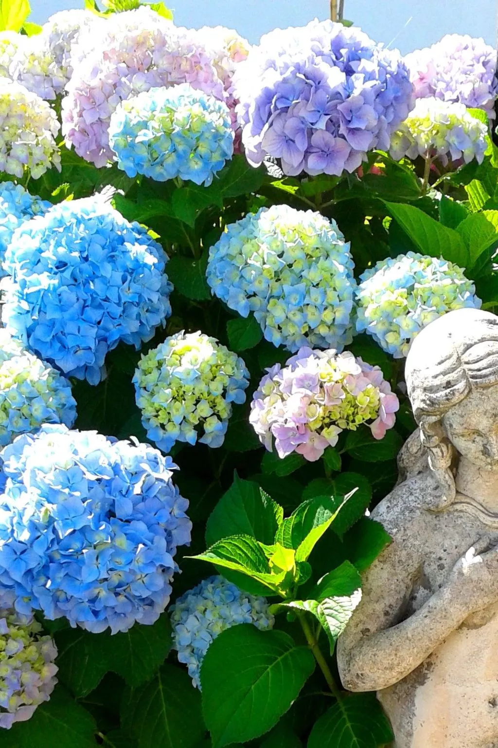 La Terrazza-Image-tags.info