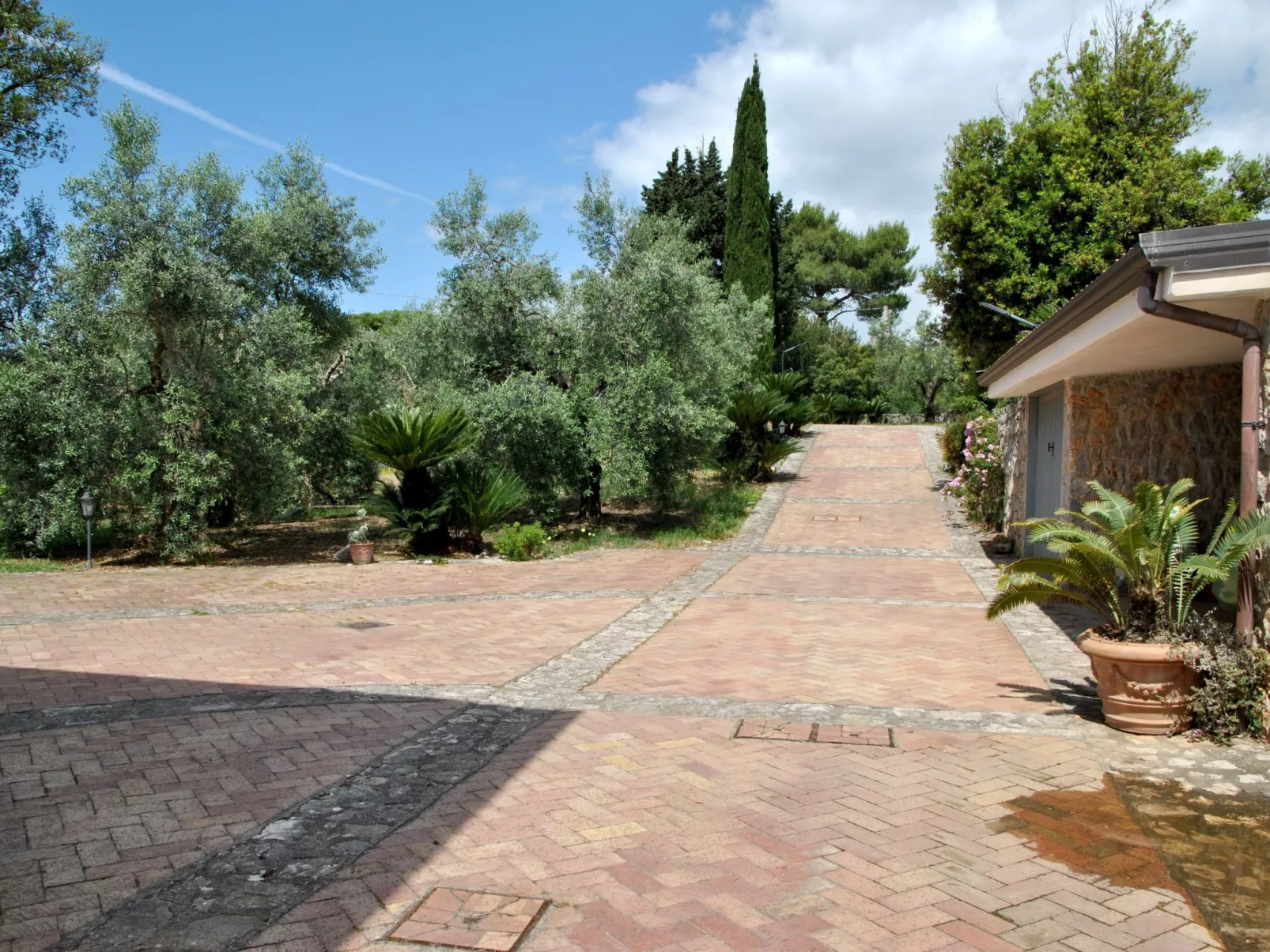 Weintrauben und Sterne Maison" Touristenunterkunft-Draußen