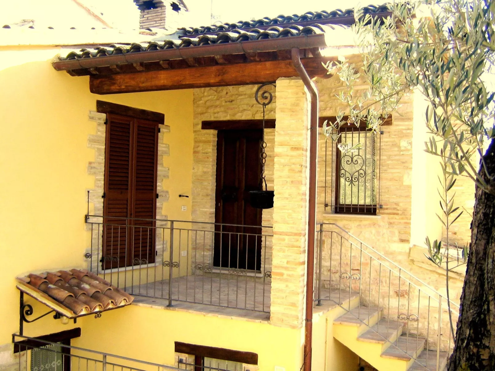 Girasoli in Cagli-Dehors