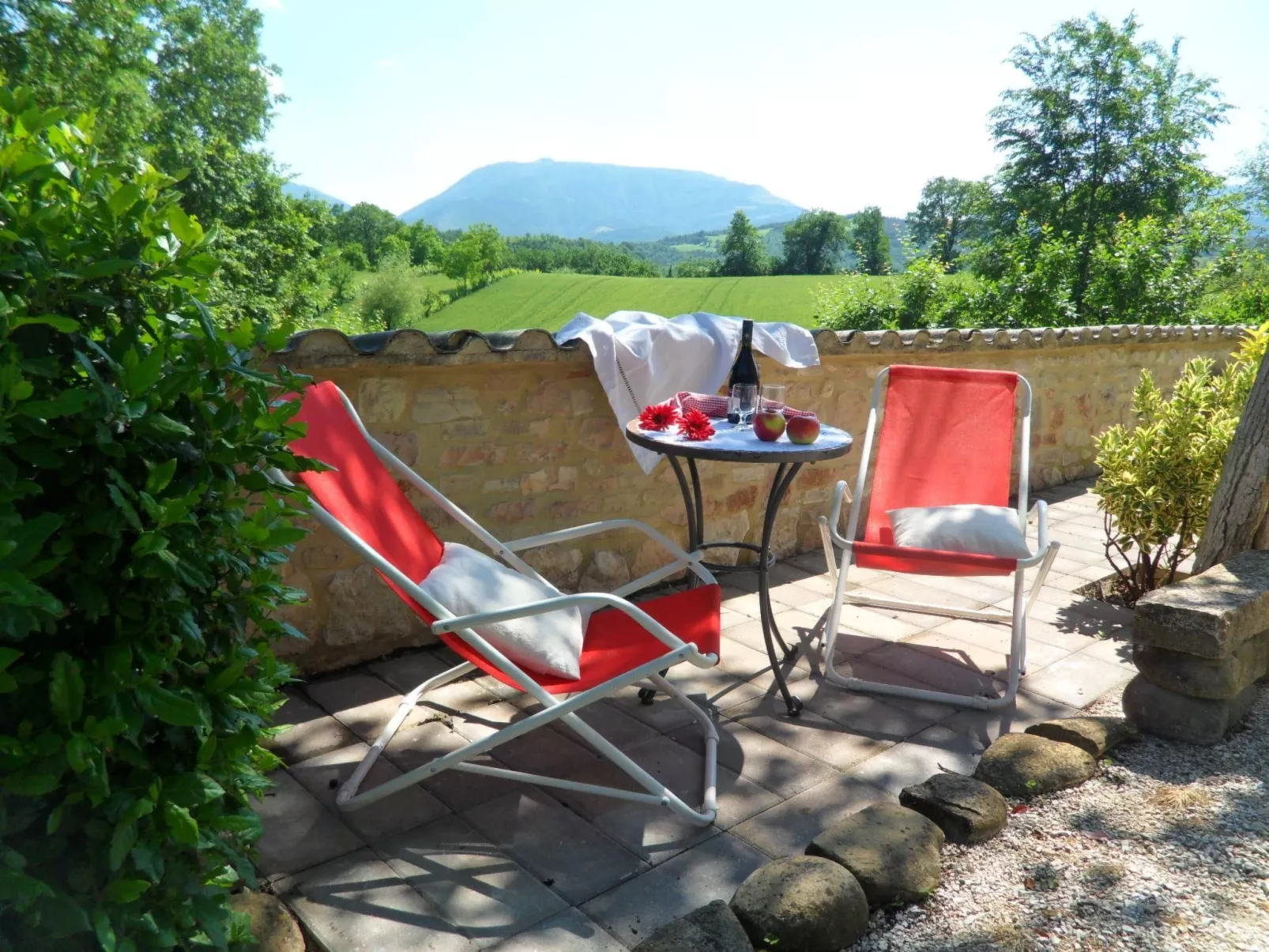 Flacher Flieder-Draußen