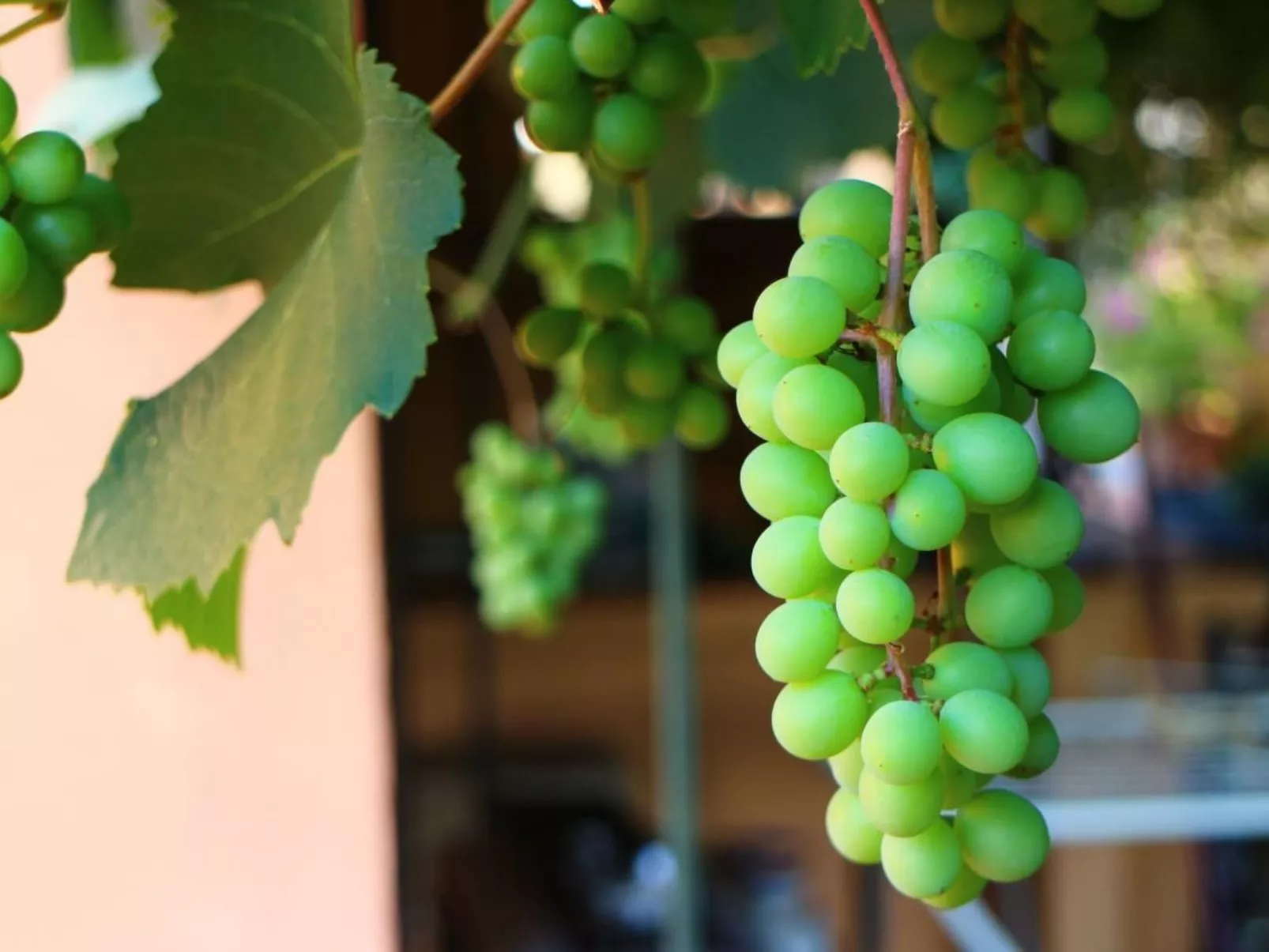 In Cascina mit privatem Parkplatz-Image-tags.info