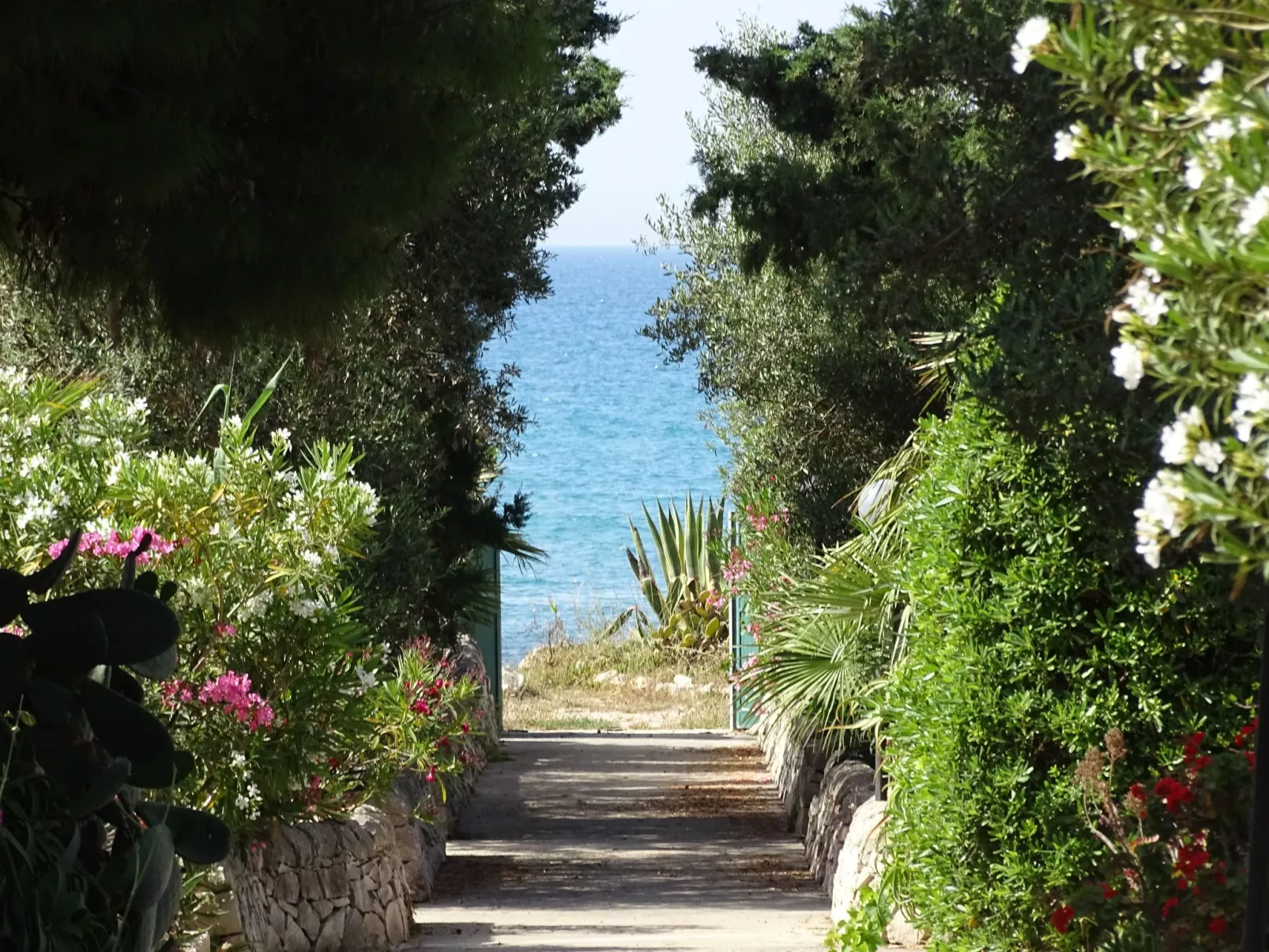 Kleines ruhiges Ferienhaus direkt am Meer-Outside