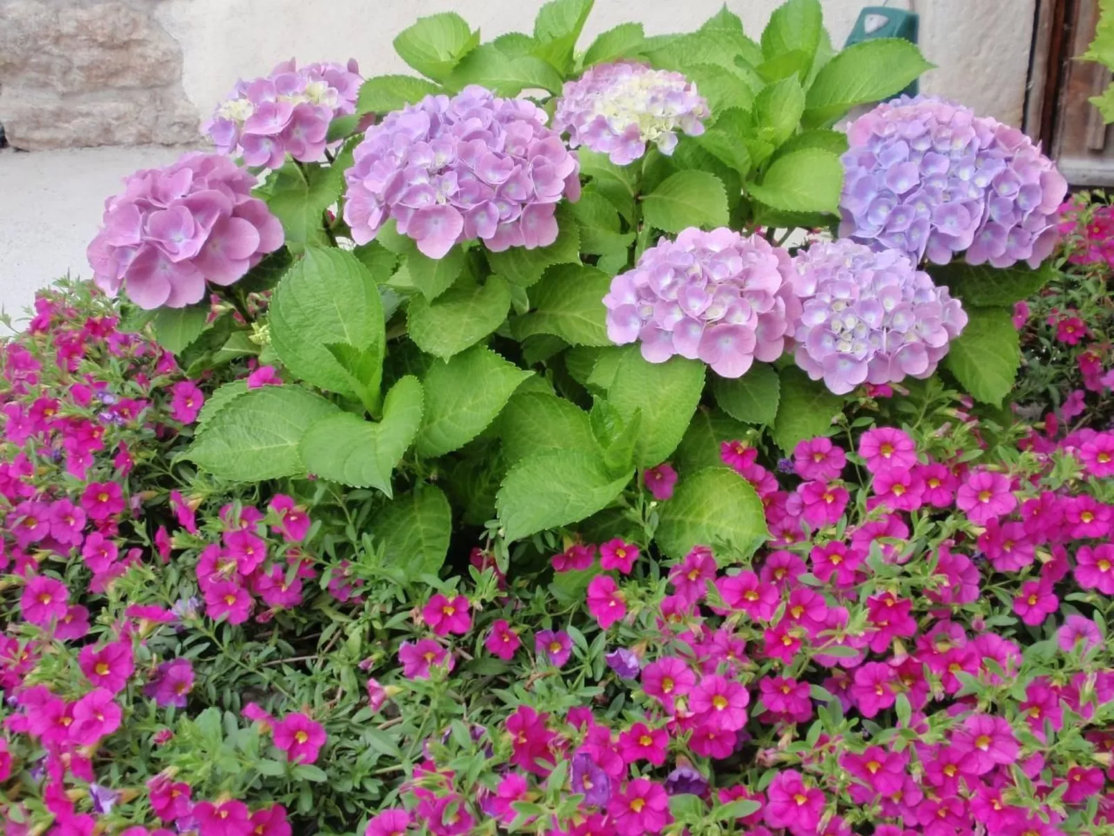 Traumhafter Rustico direkt am Ufer des Gardasees-Outside