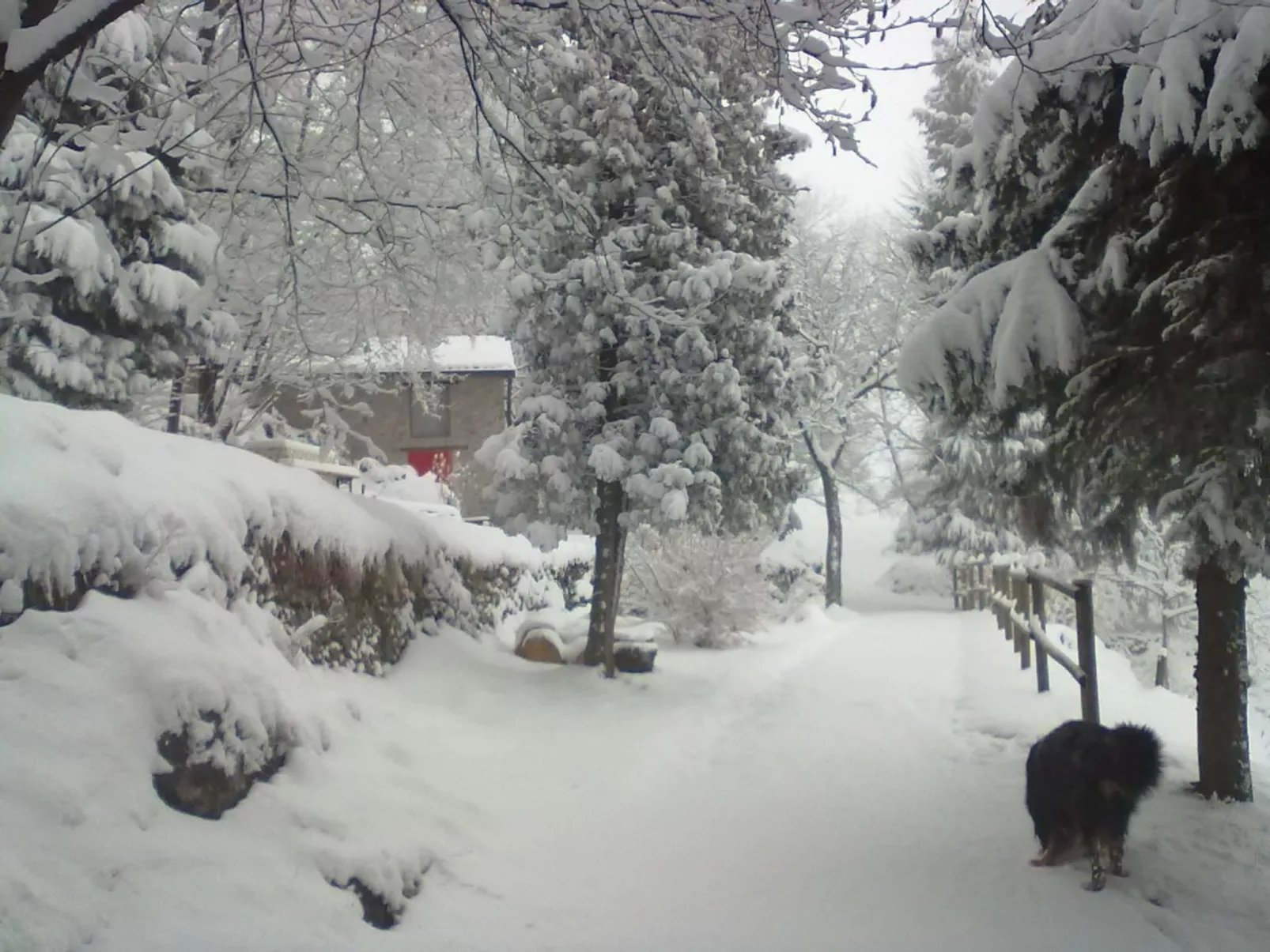 Niederwaldhaus in Solto Collina-Dehors