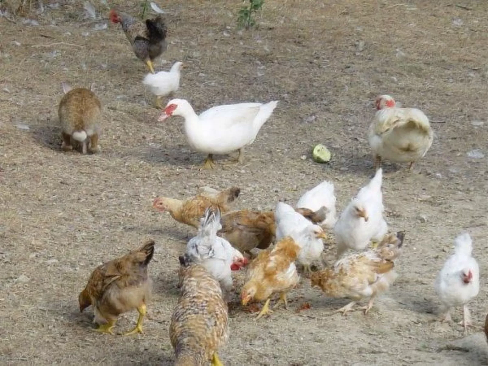 Intero Agriturismo-Outside