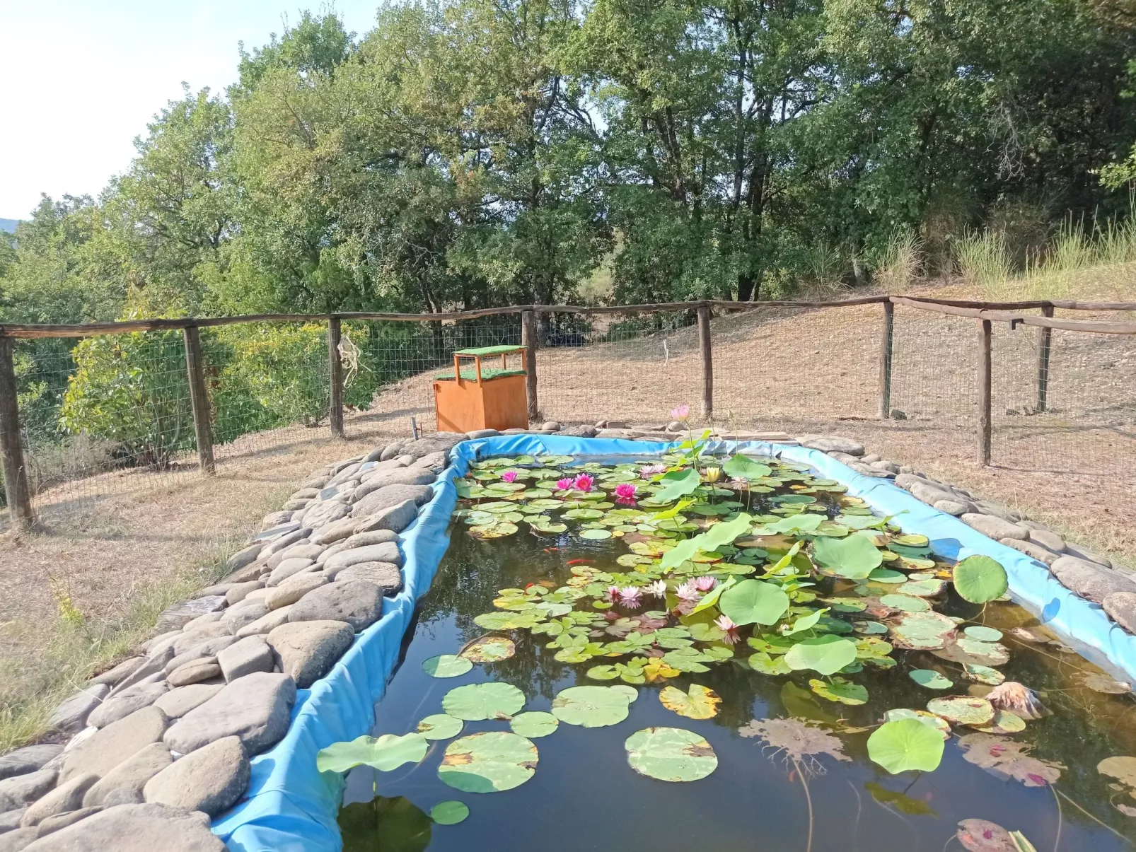 La Rosa Wohnung-Draußen