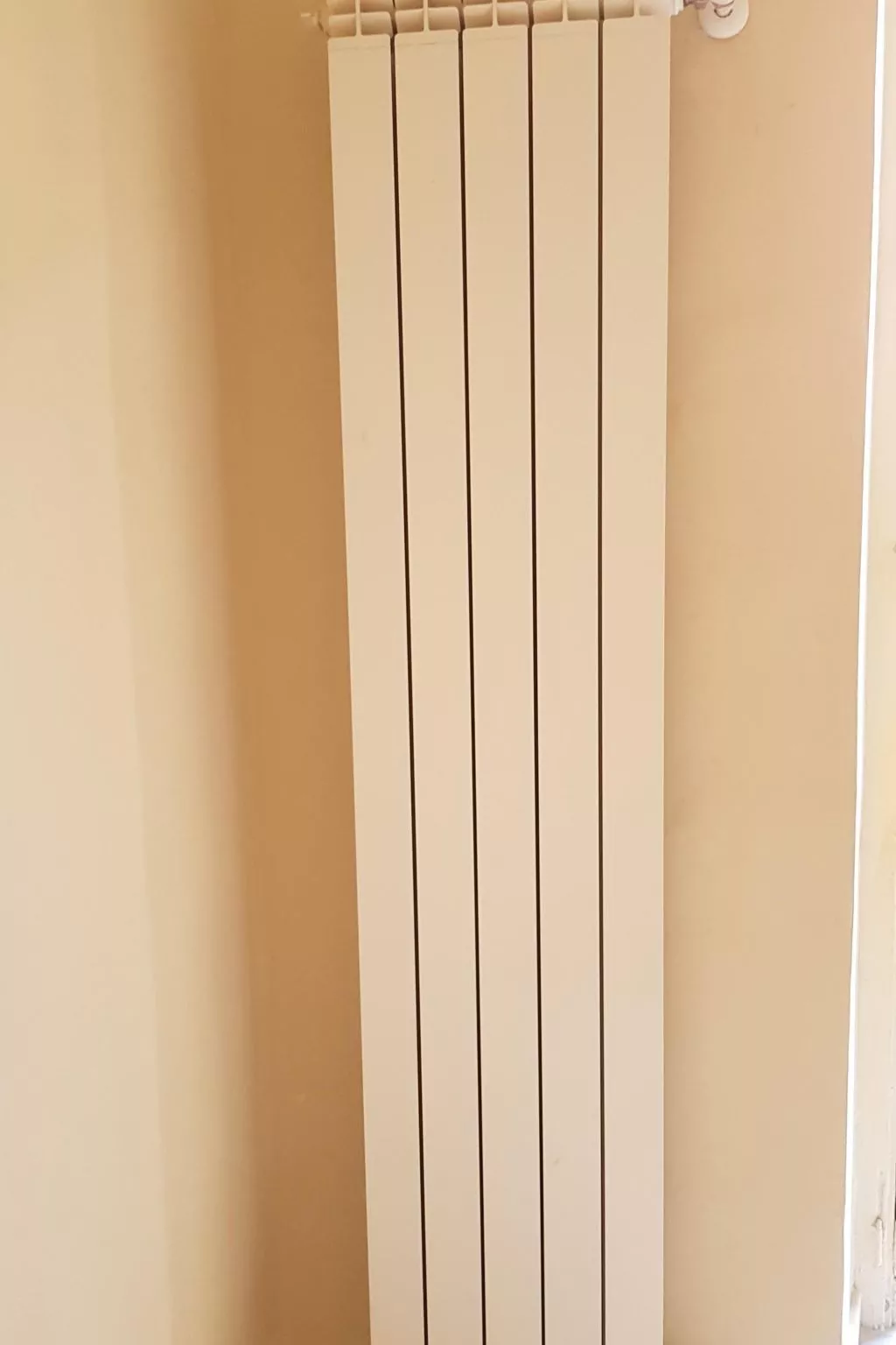 Wohnung 'Ascar' mit Balkon-Image-tags.info