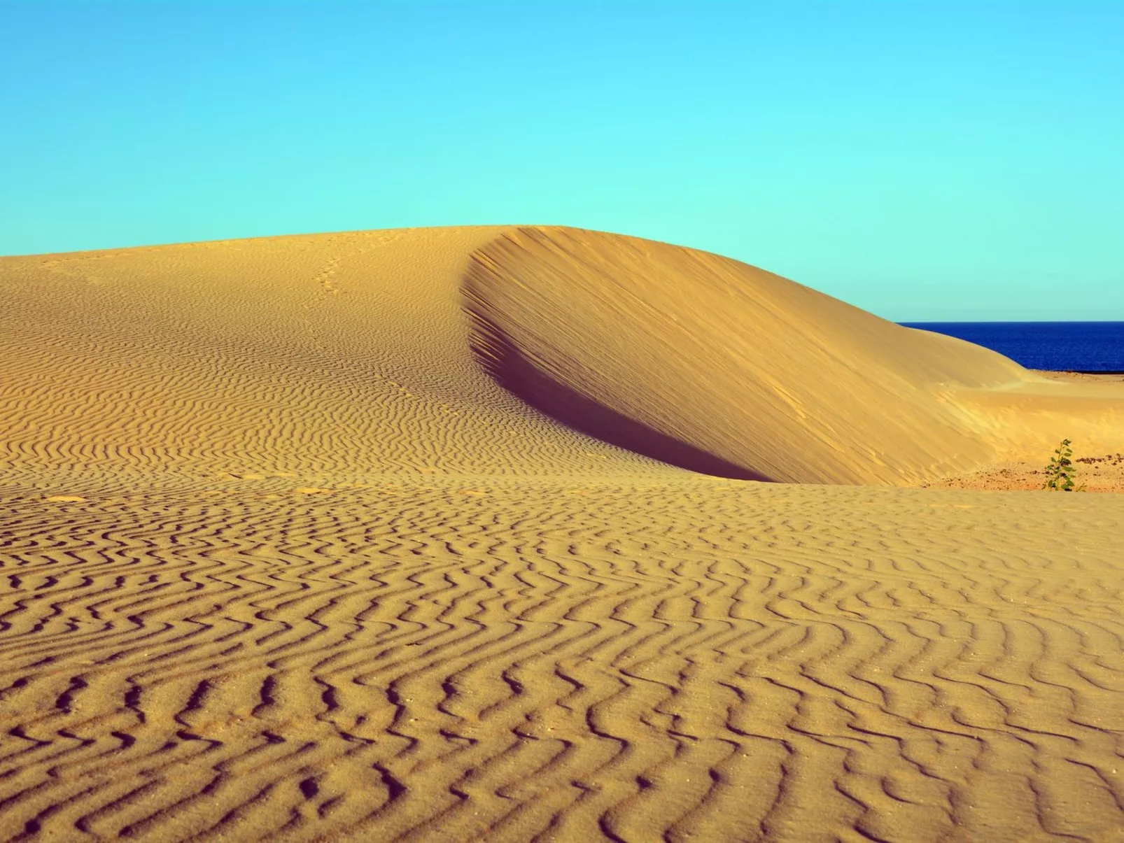 "Stilvoller Bungalow"-Outside