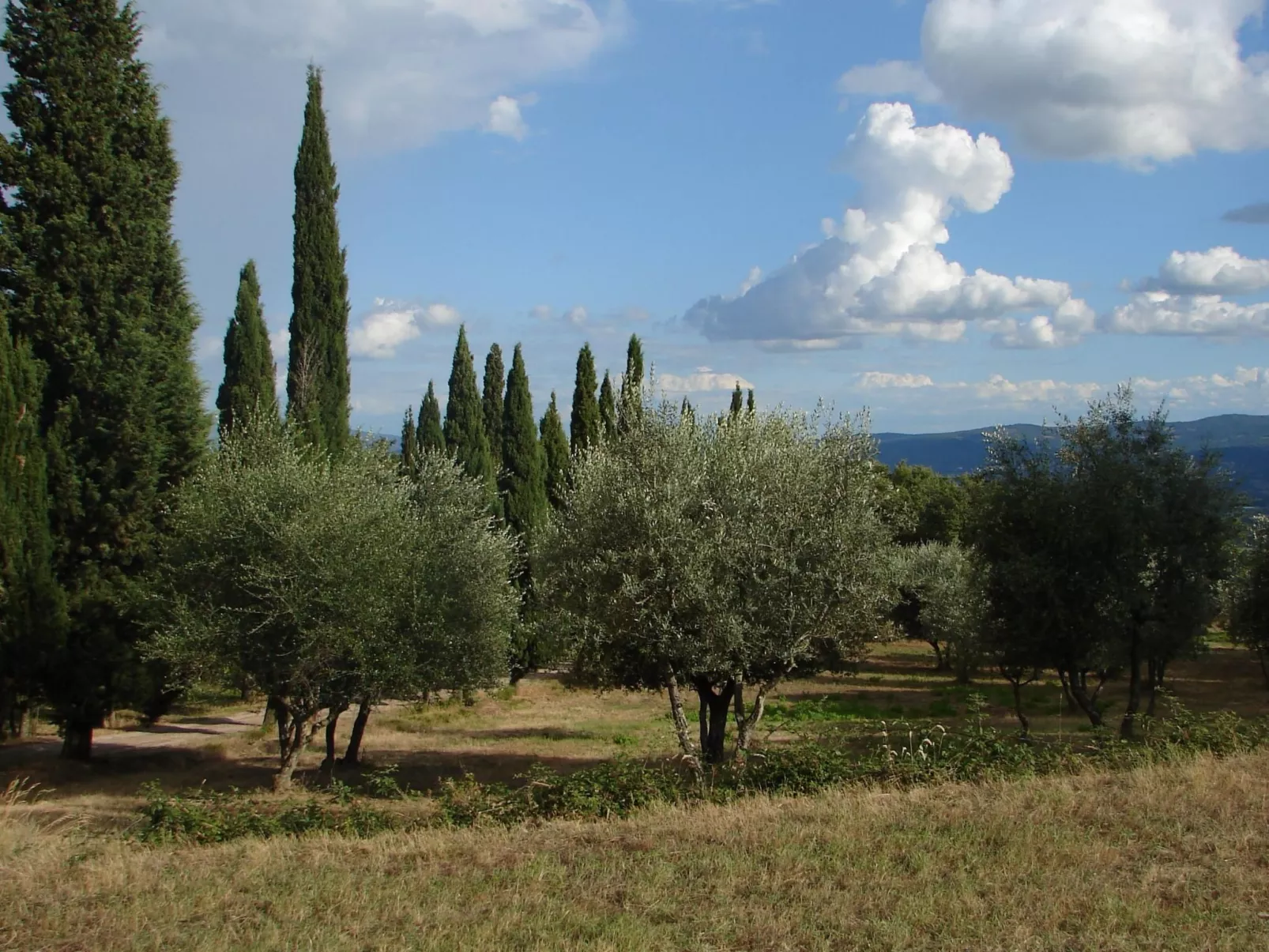 Anwesen mit Terrasse-Image-tags.info