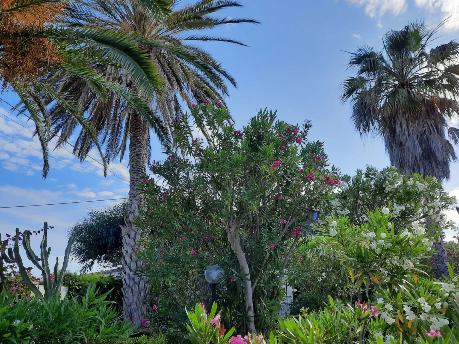 Schöner Bungalow direkt am Sandstrand auf Sizilien-Dehors
