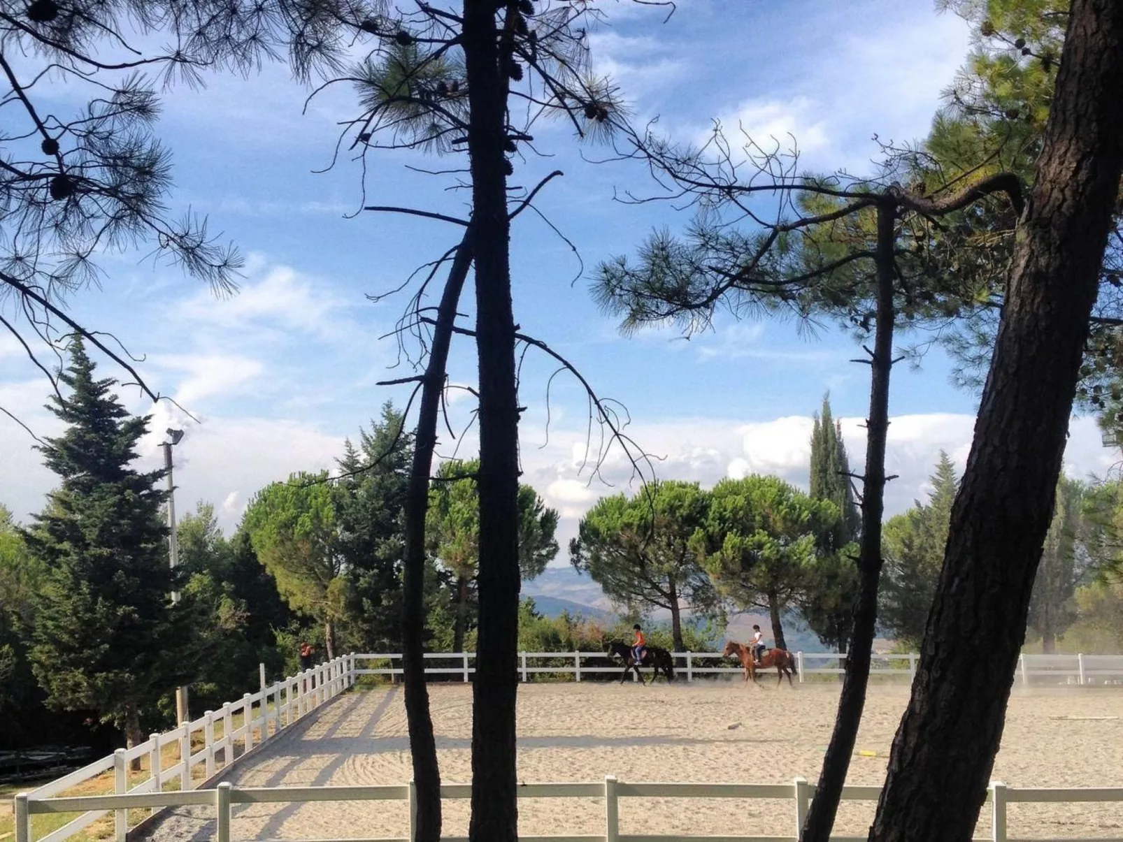 Wohnung "Villa Famiglia3" mit Pool-Draußen