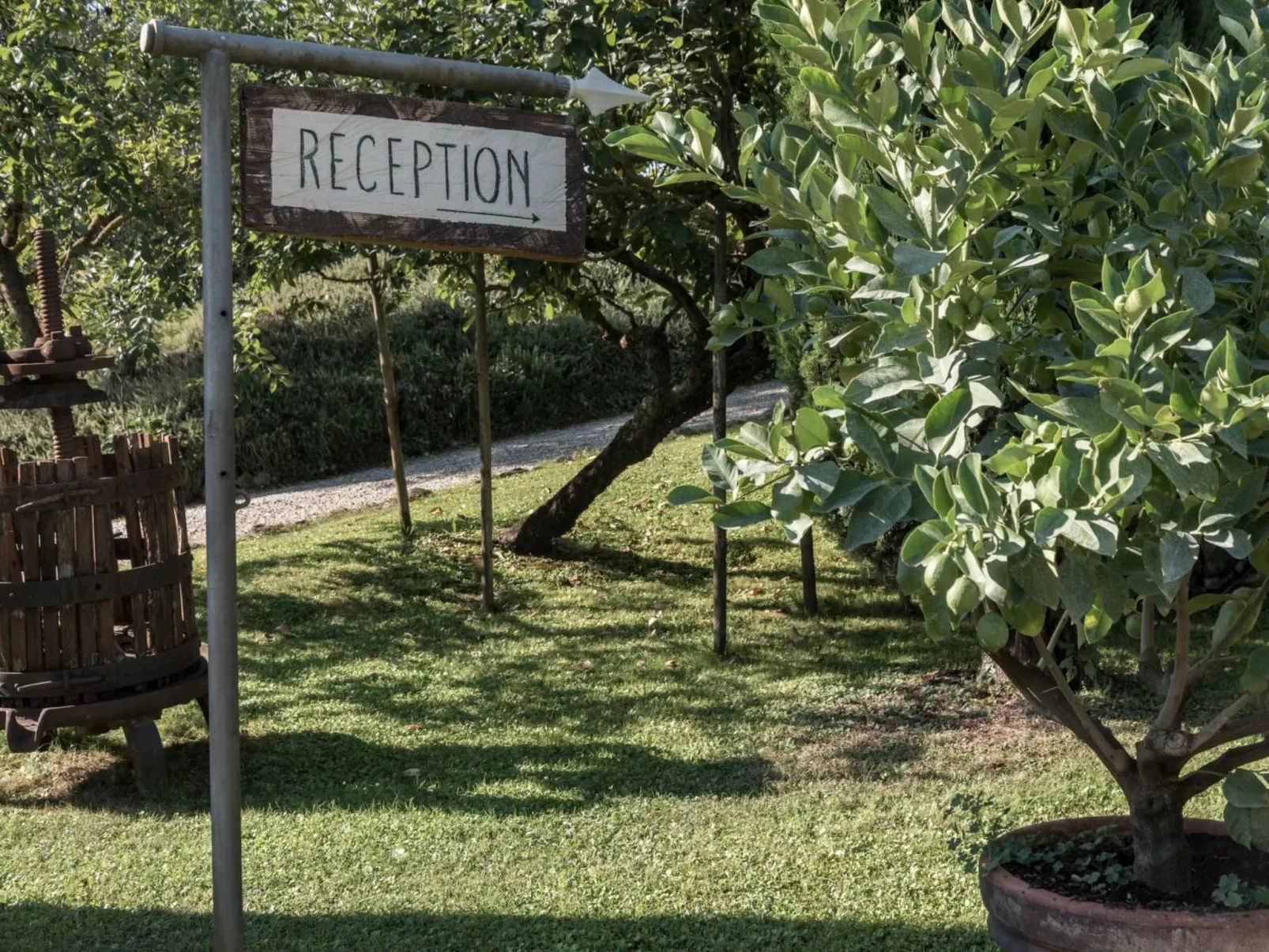 Wohnung Colle di Val d'Elsa-Draußen