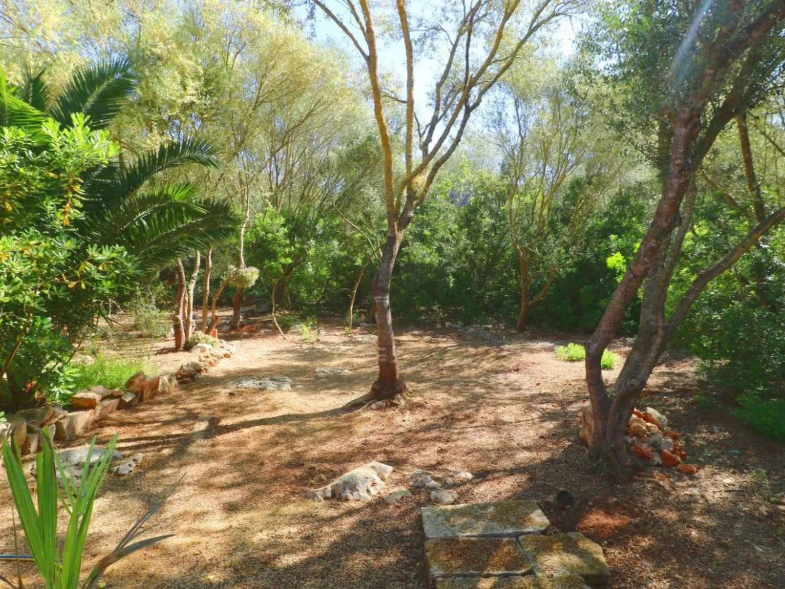 Finca Alfabia Campos-Draußen