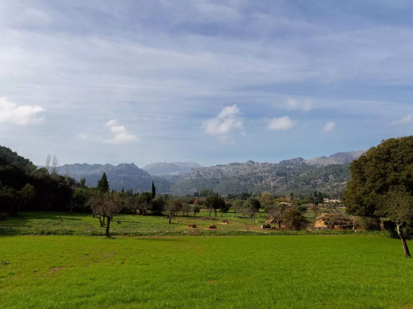 Tolle Finca in wunderschöner Landschaft-Outside