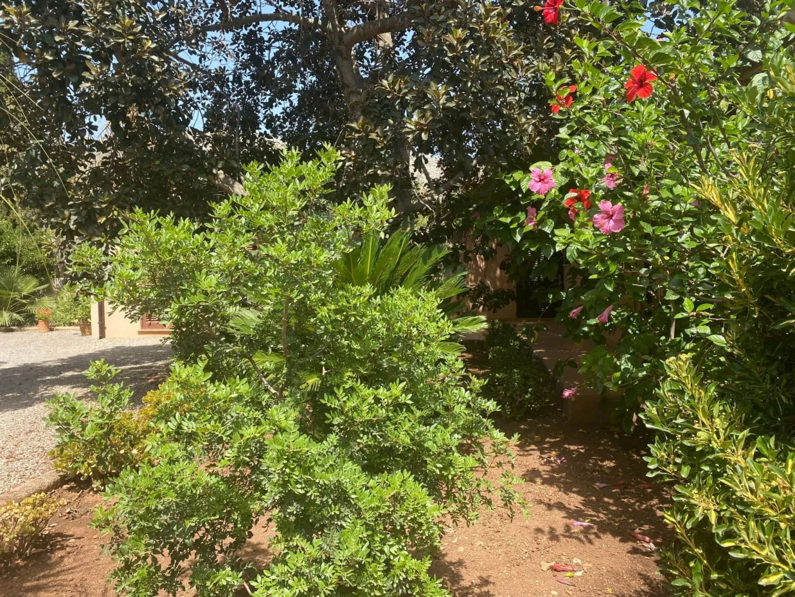 Finca mit Garten, Grill und Terrasse-Draußen