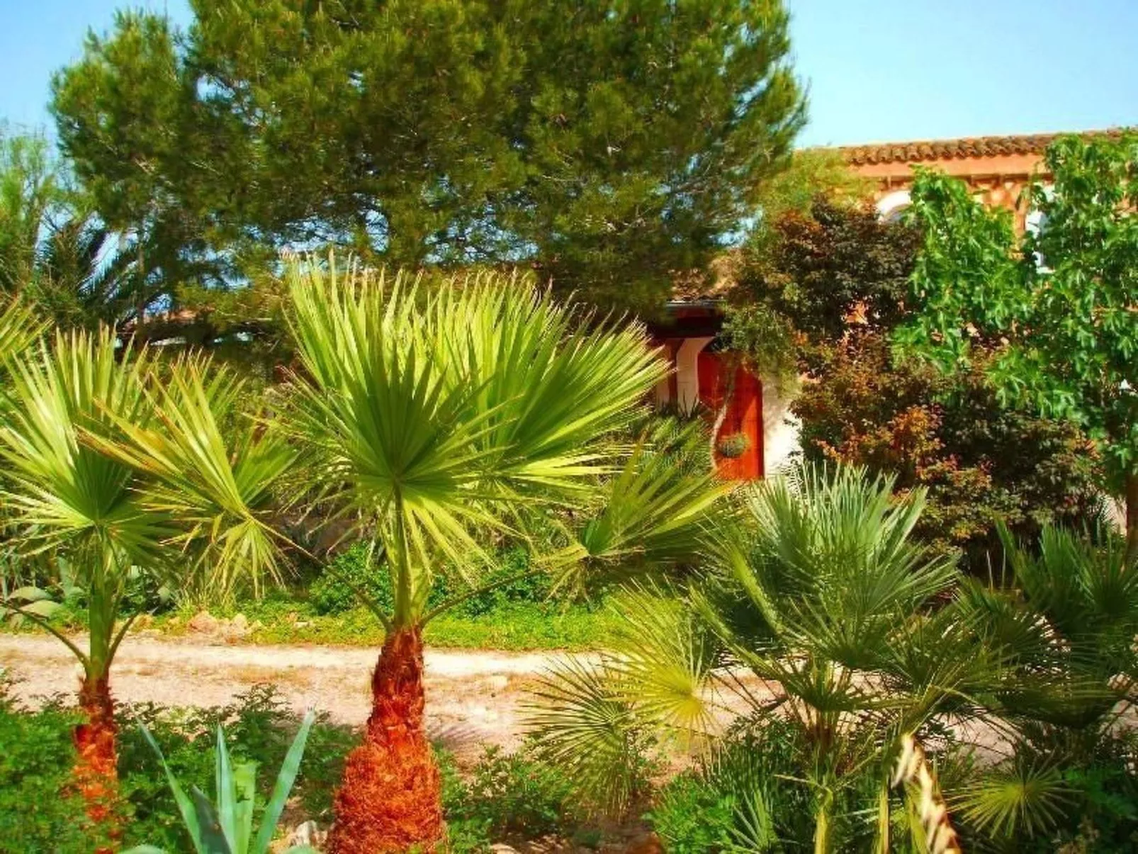 Finca Can Almendro-Dehors