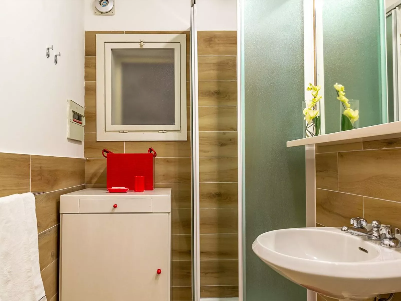 Sea Life in Taormina-Image-tags.info