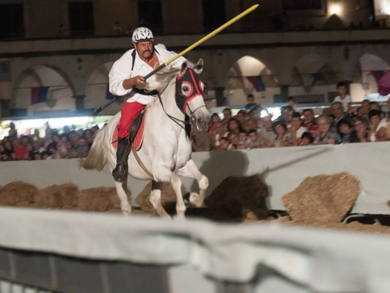 Apartment Rosa Canina (Wilde Rose)-Image-tags.info