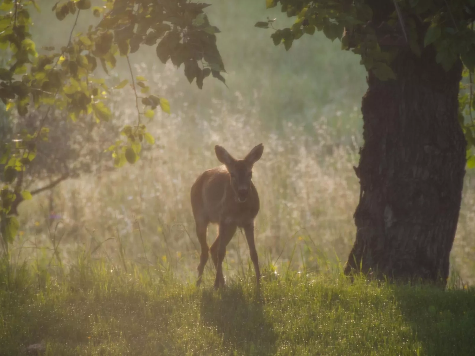 Wohnung in Figline Valdarno mit Gemeinschaftspool-Outside