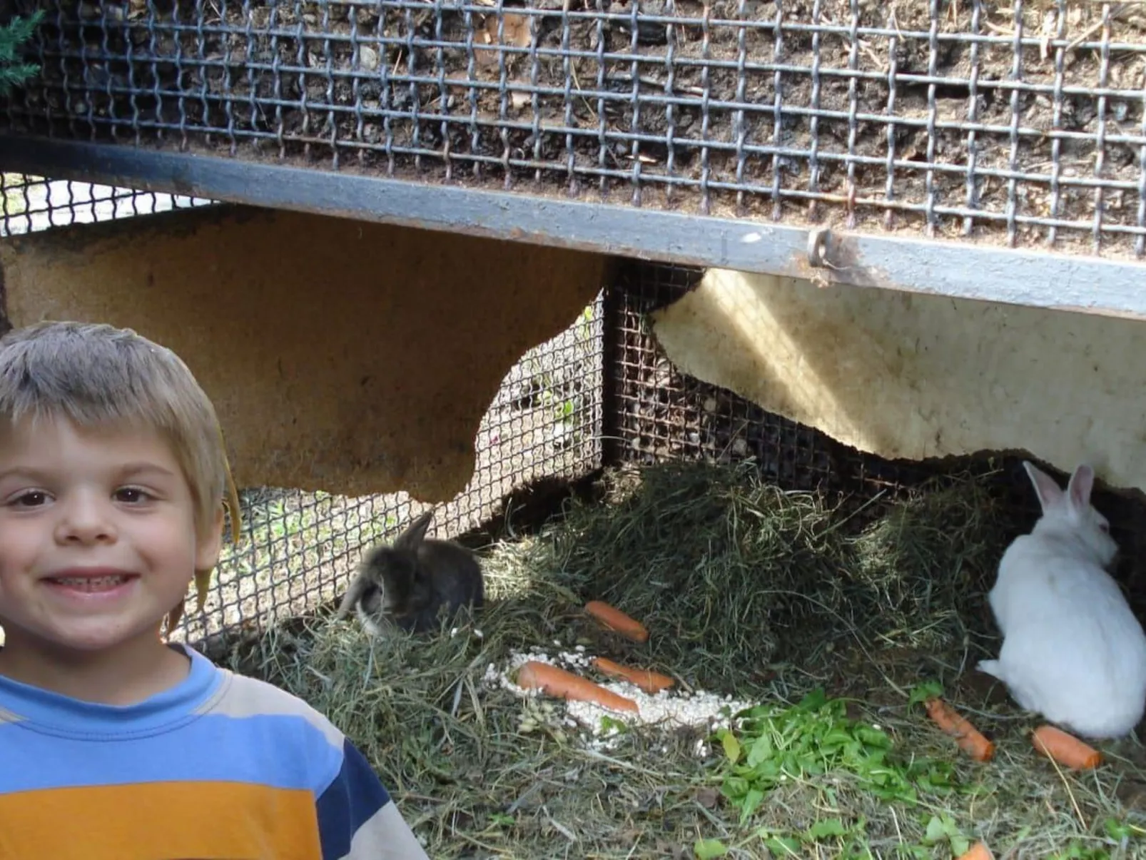 Ribolla-Image-tags.info